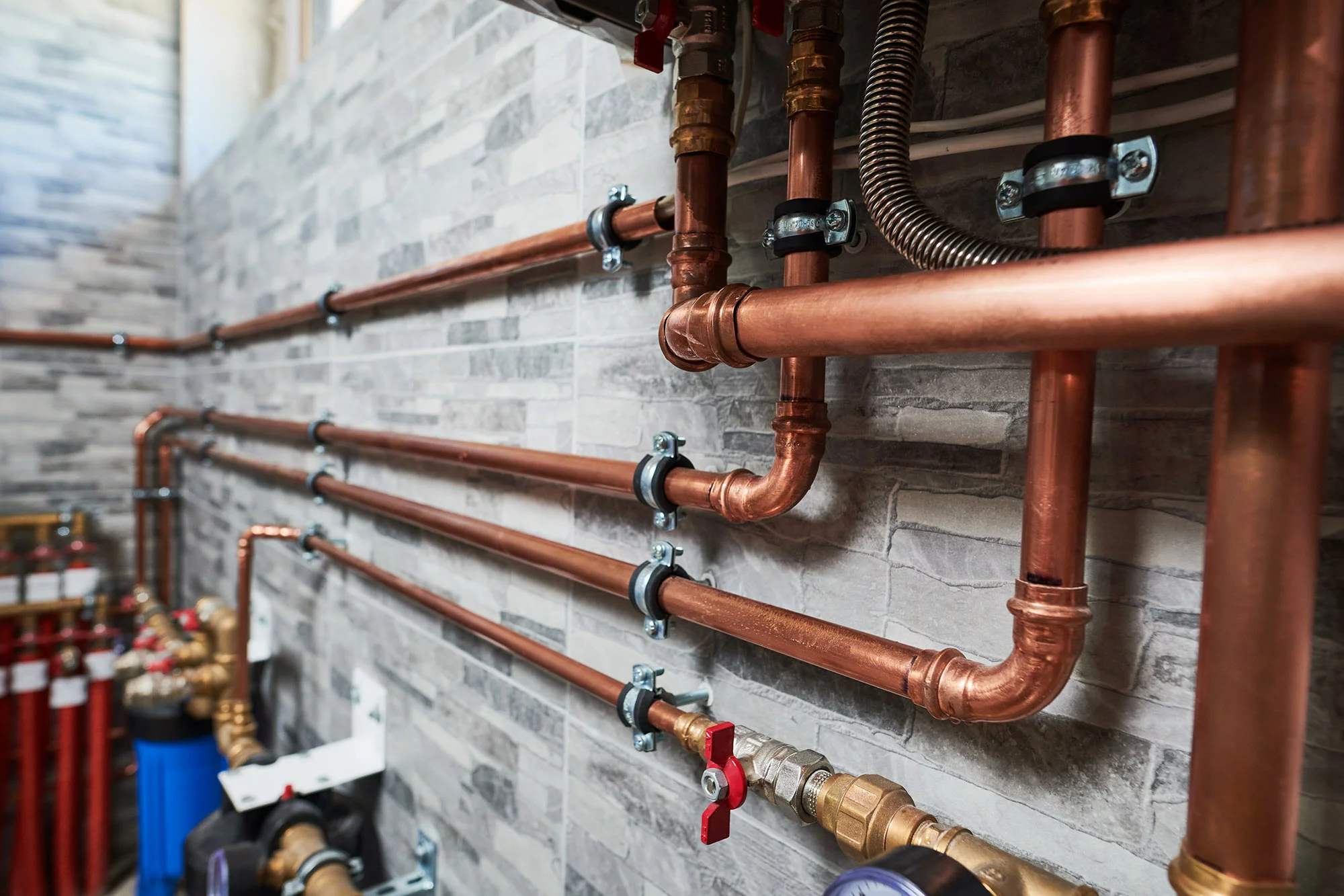  for Jersey Drain Masters in Williamstown, NJ