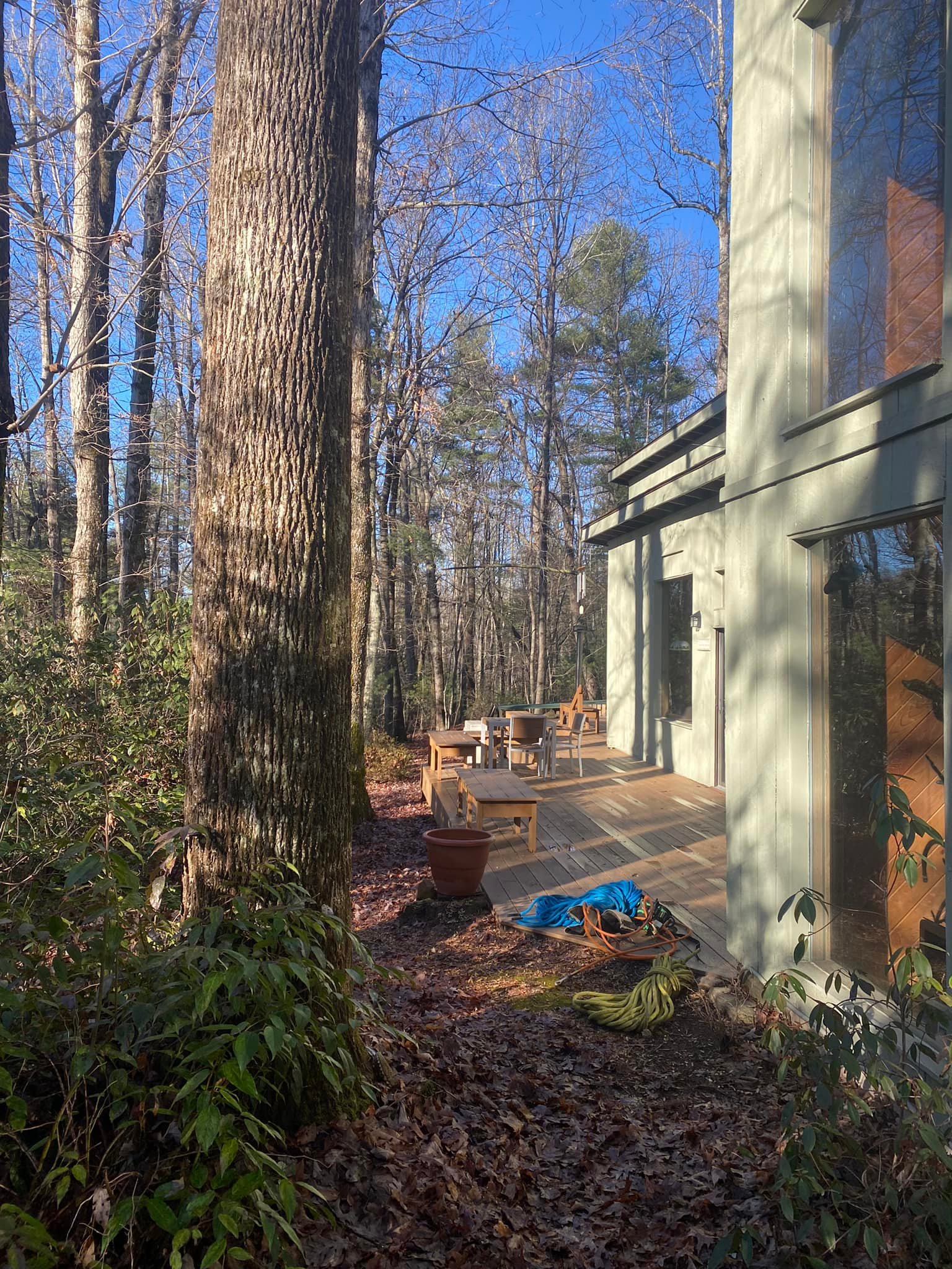  for Andy's Tree Service in Zirconia, NC