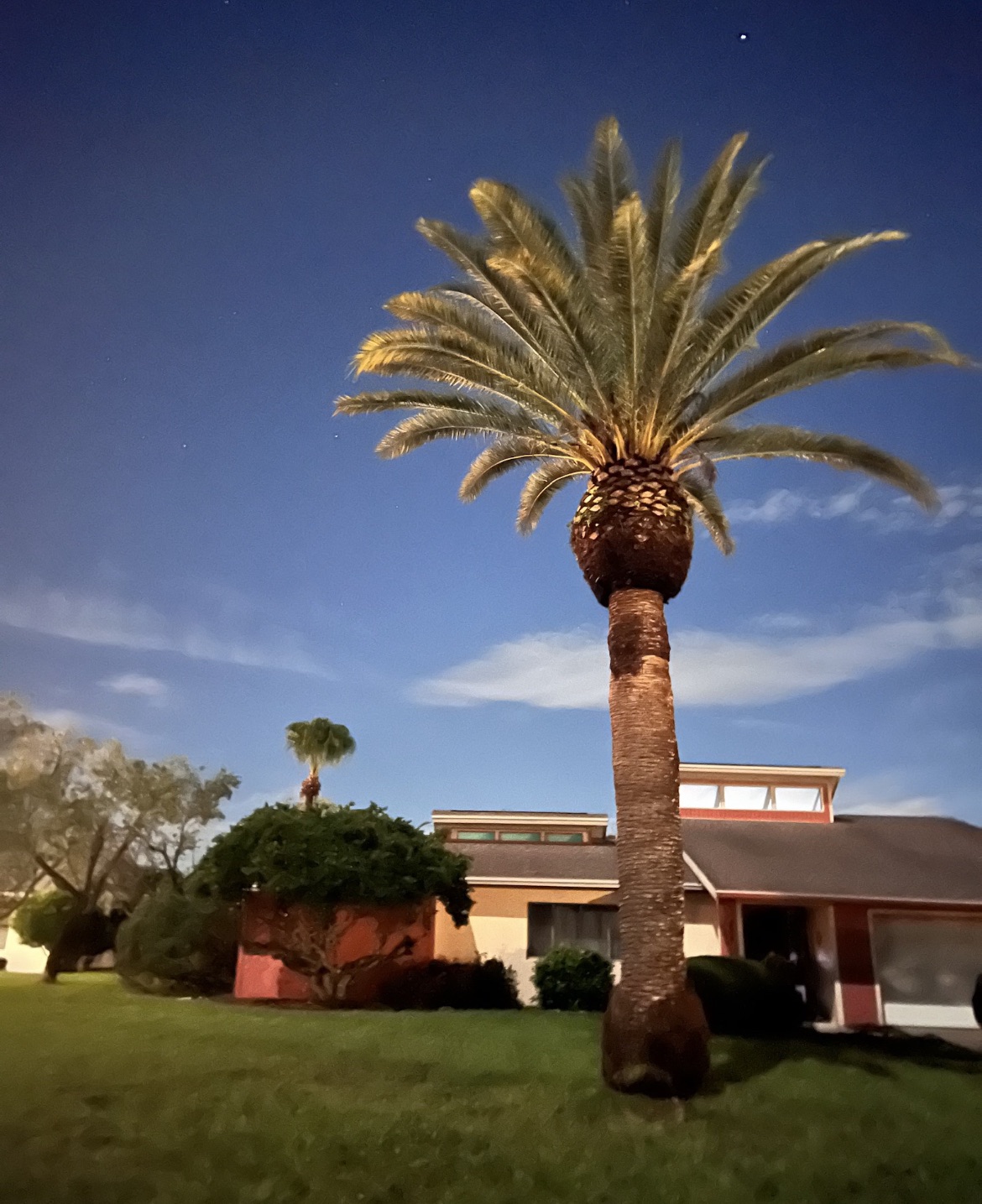 cover-photo