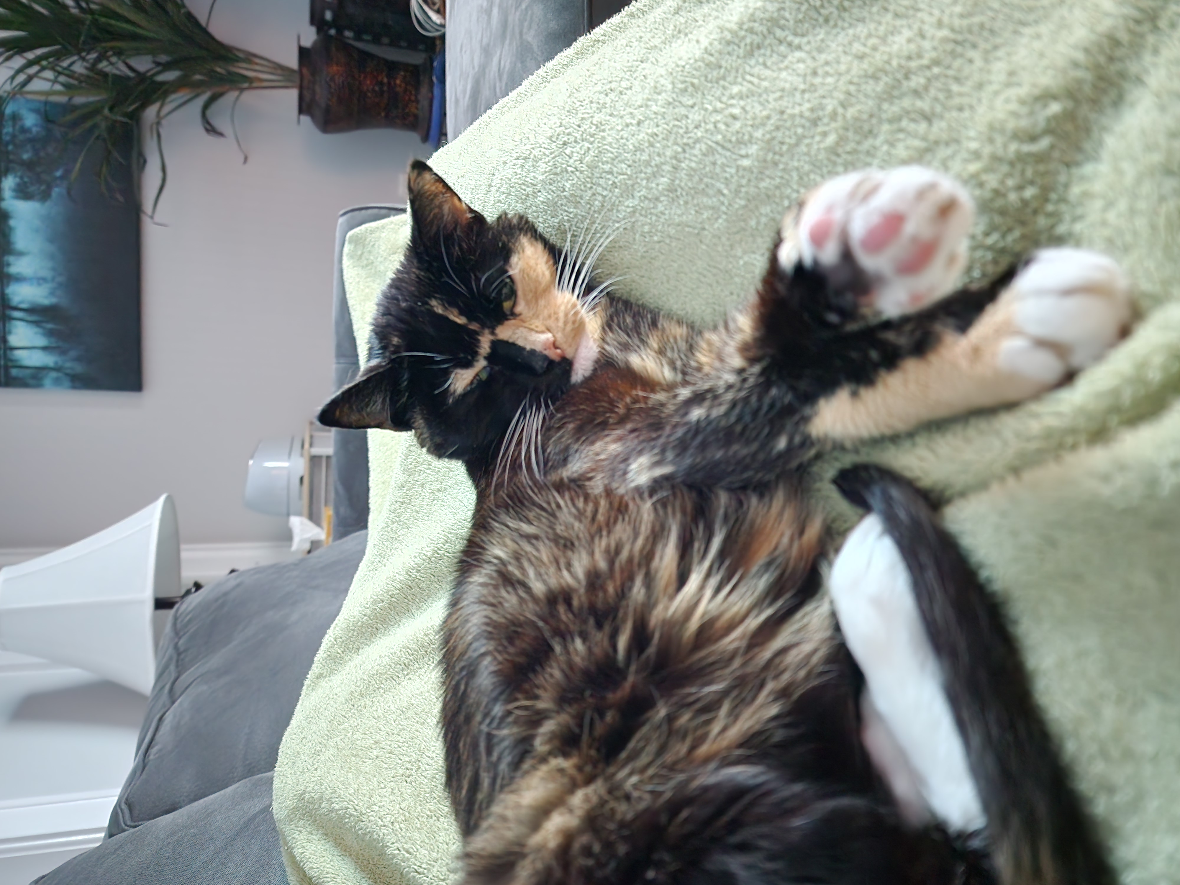  for Down Dog Yoga in Boston, MA