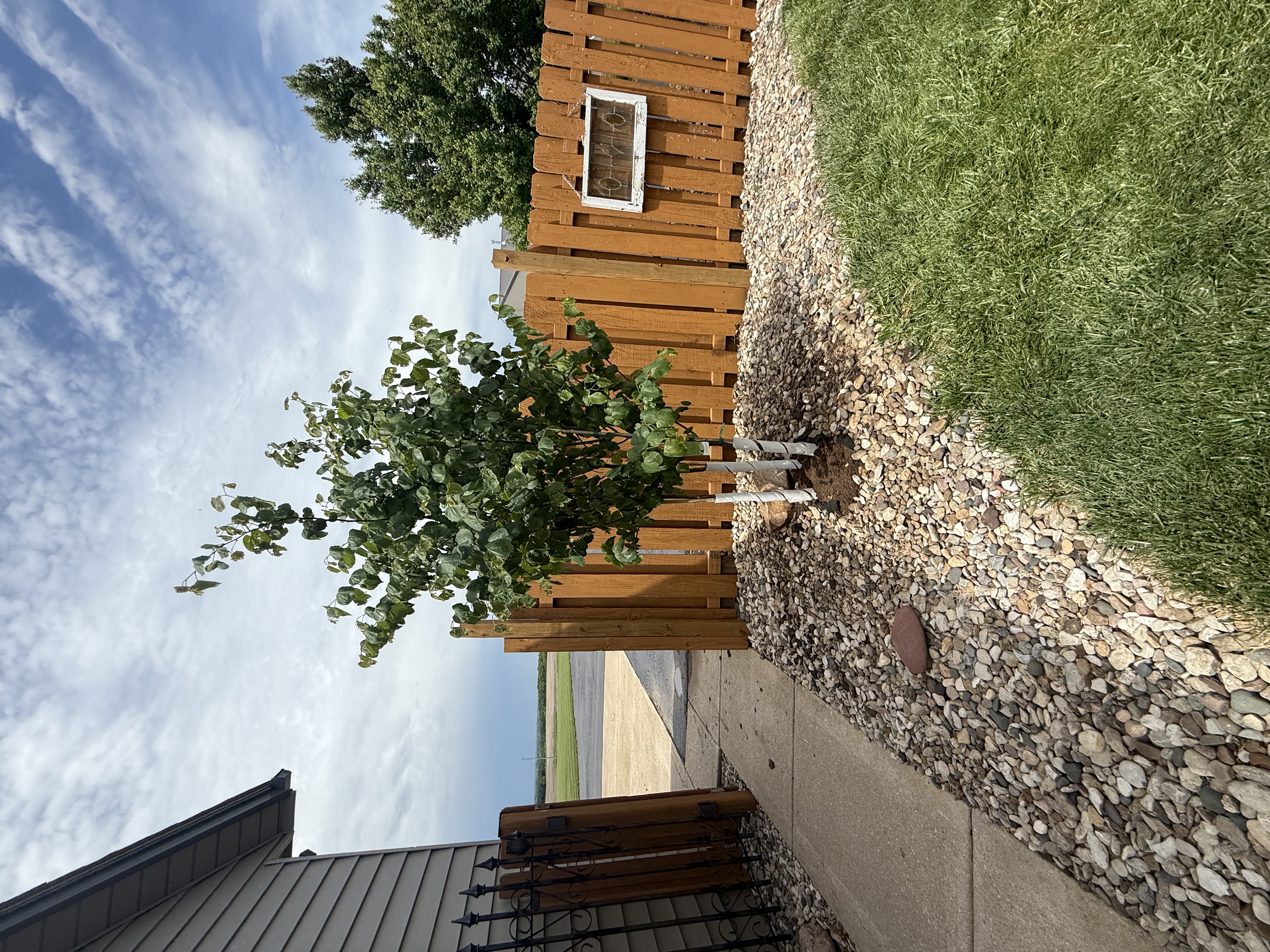  for Elite Lawn Care Solutions in Leavenworth, KS