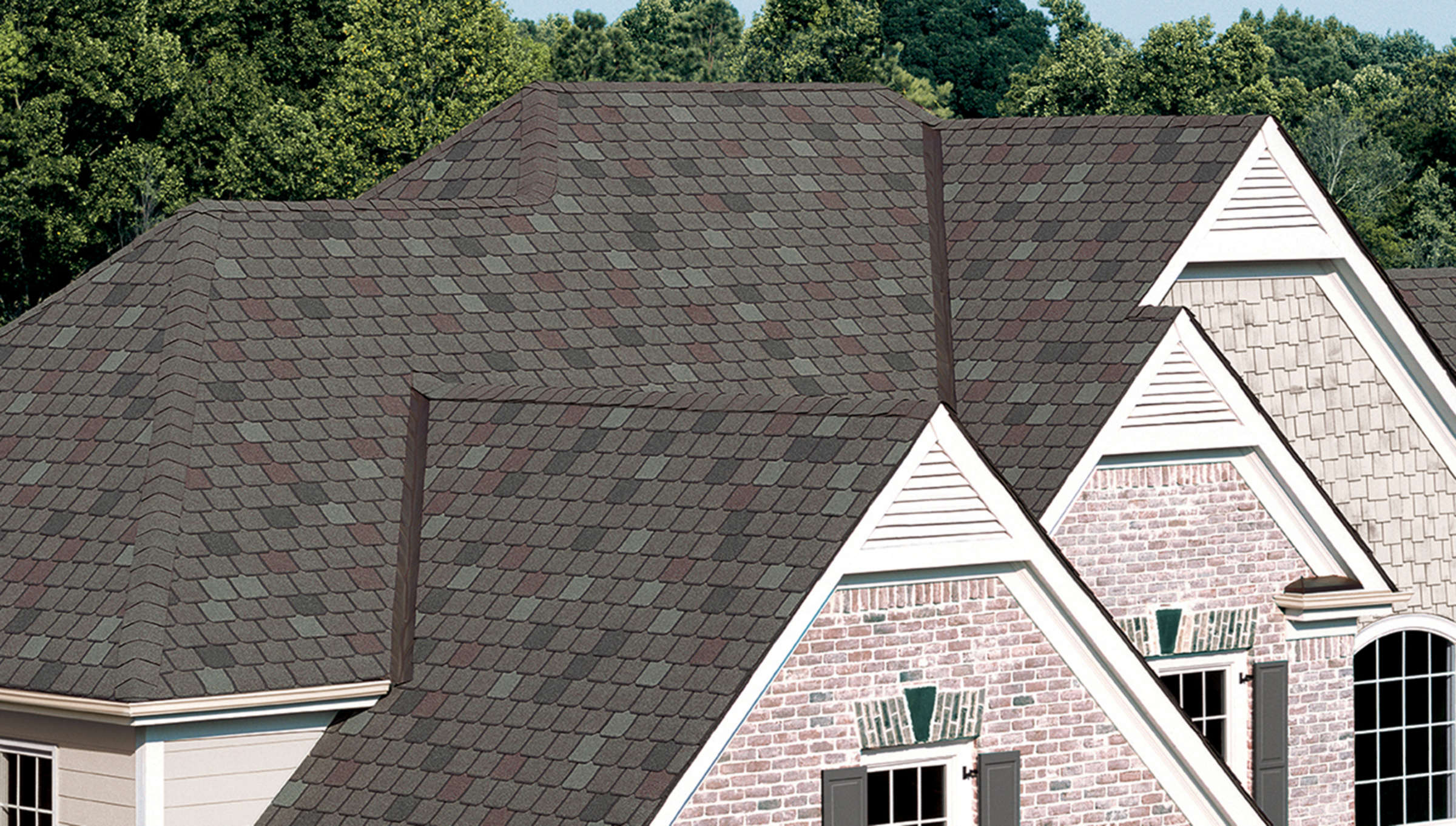 Altura Roofing team in Salem, OR - people or person