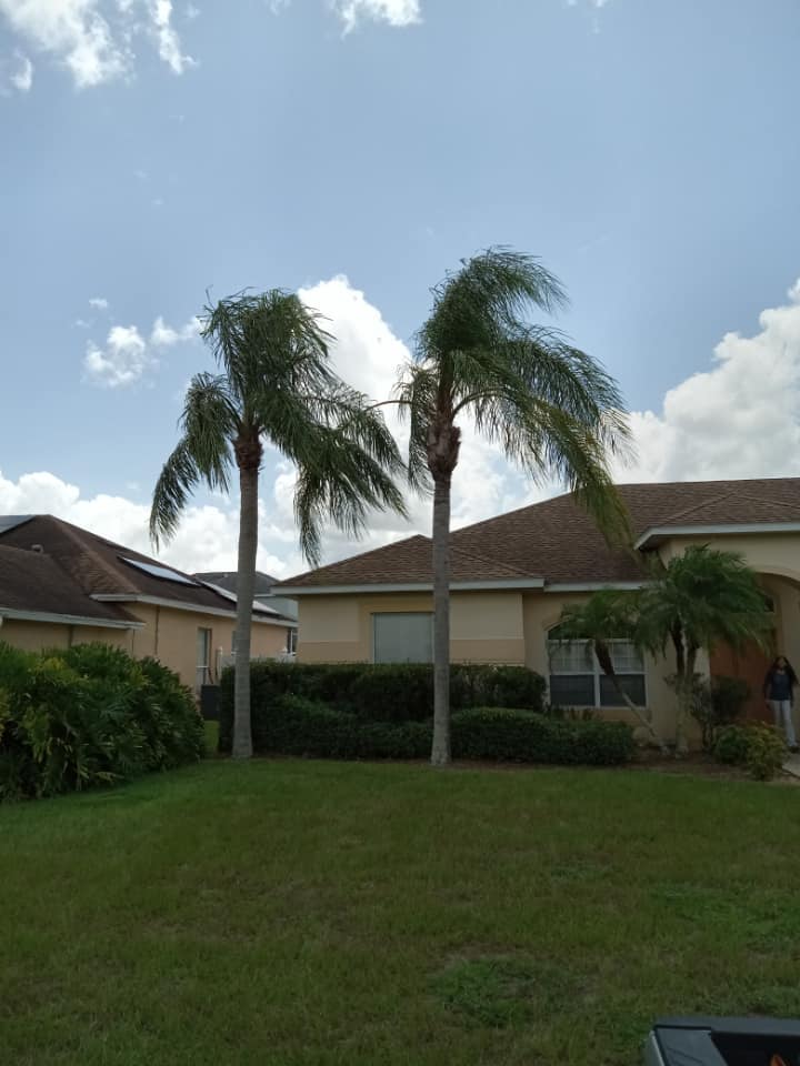  for The Family Tree Care Services LLC in Florida City, FL