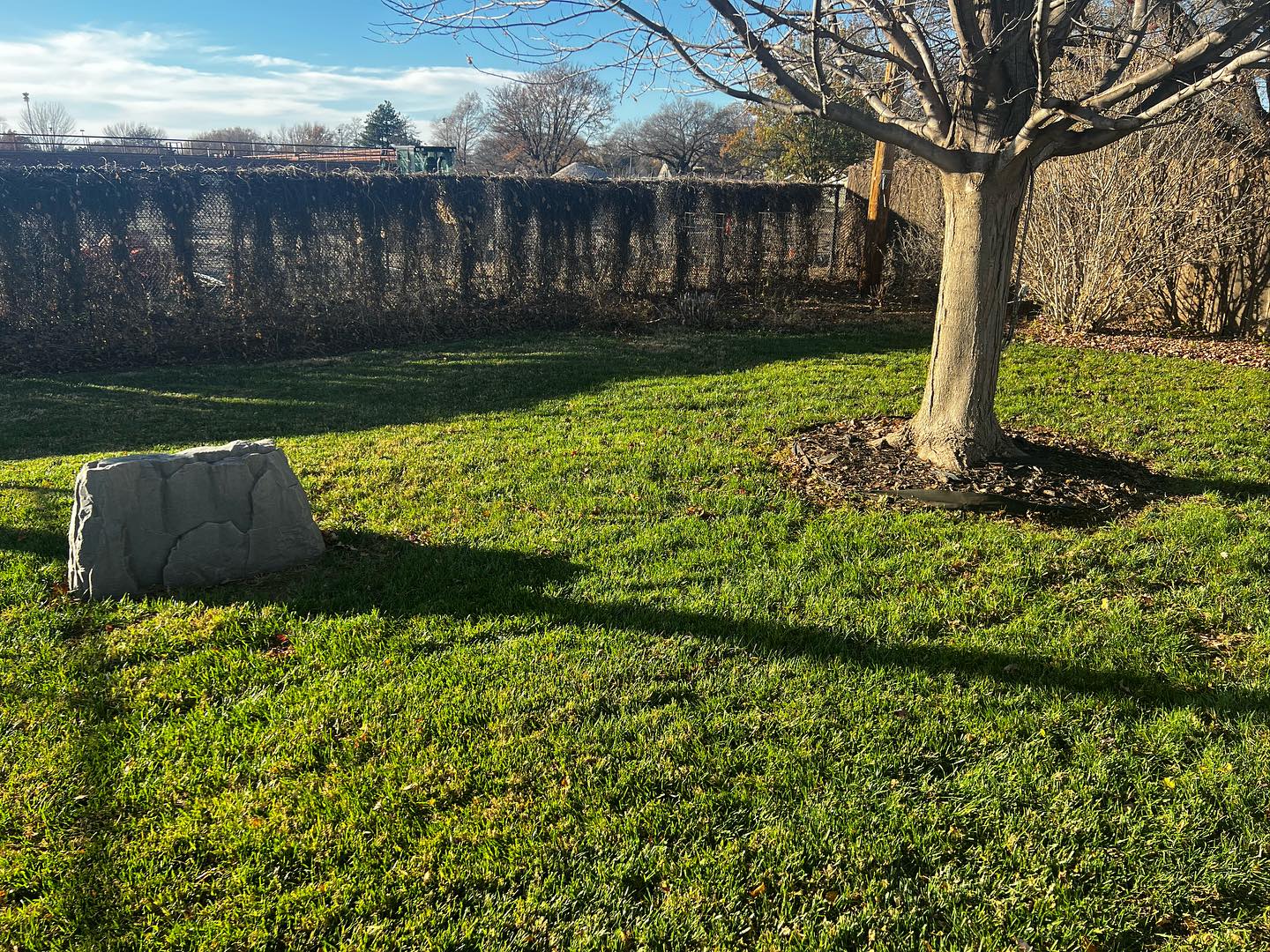 landscaping & hardscaping company Macy Mowing in Wichita, KS