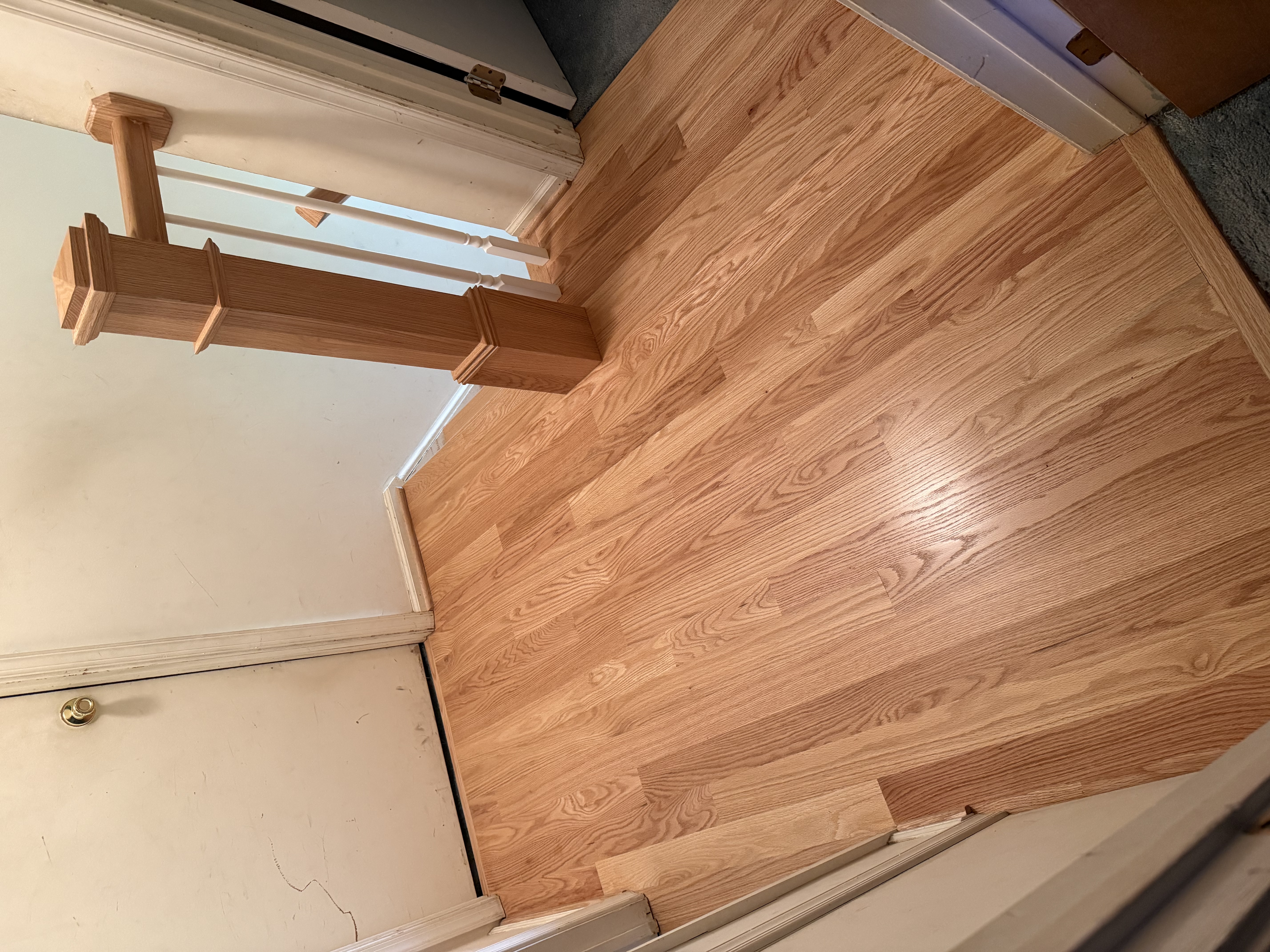  for Finely Finished LLC in Wyoming, DE