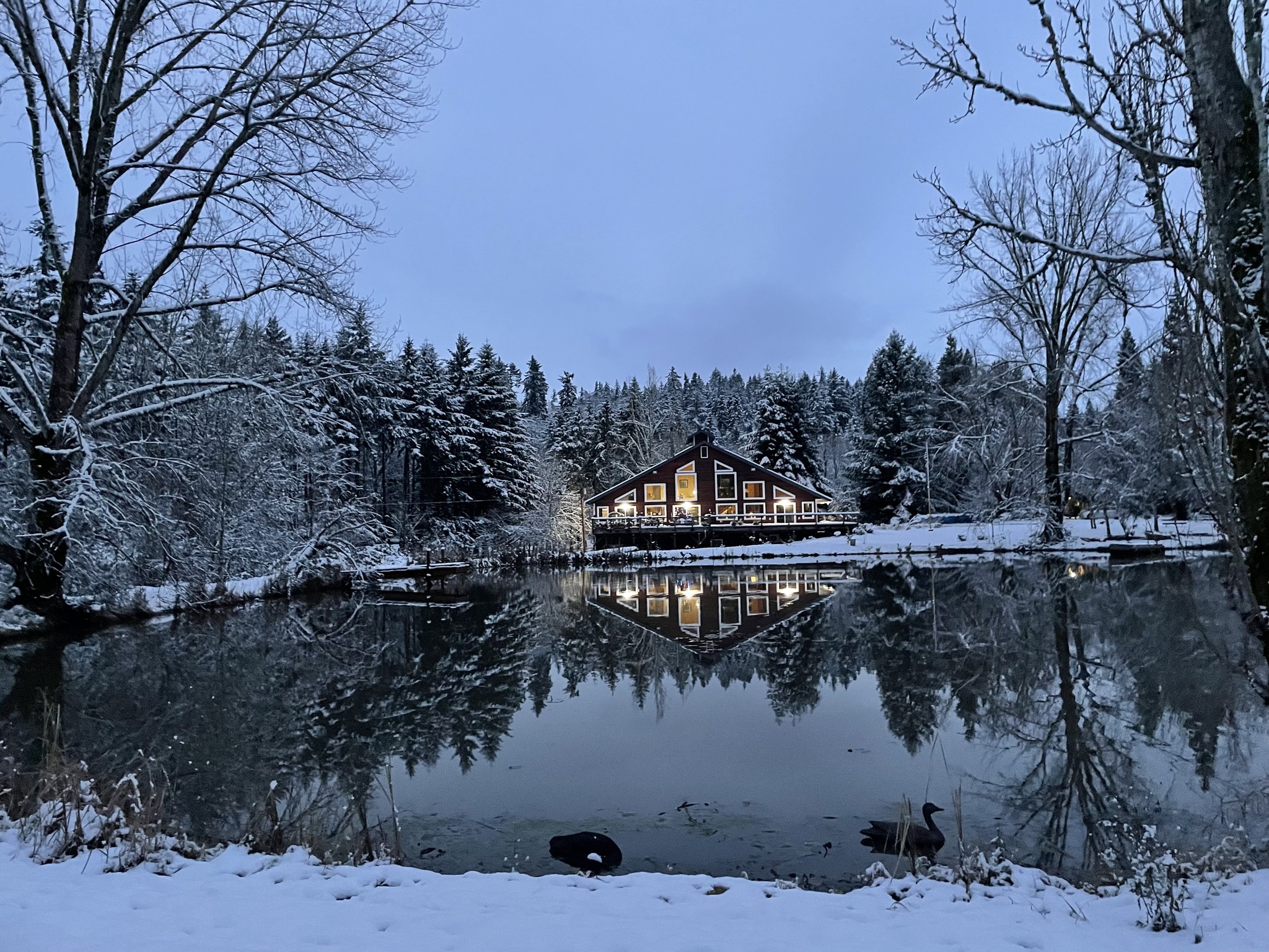 cover-photo
