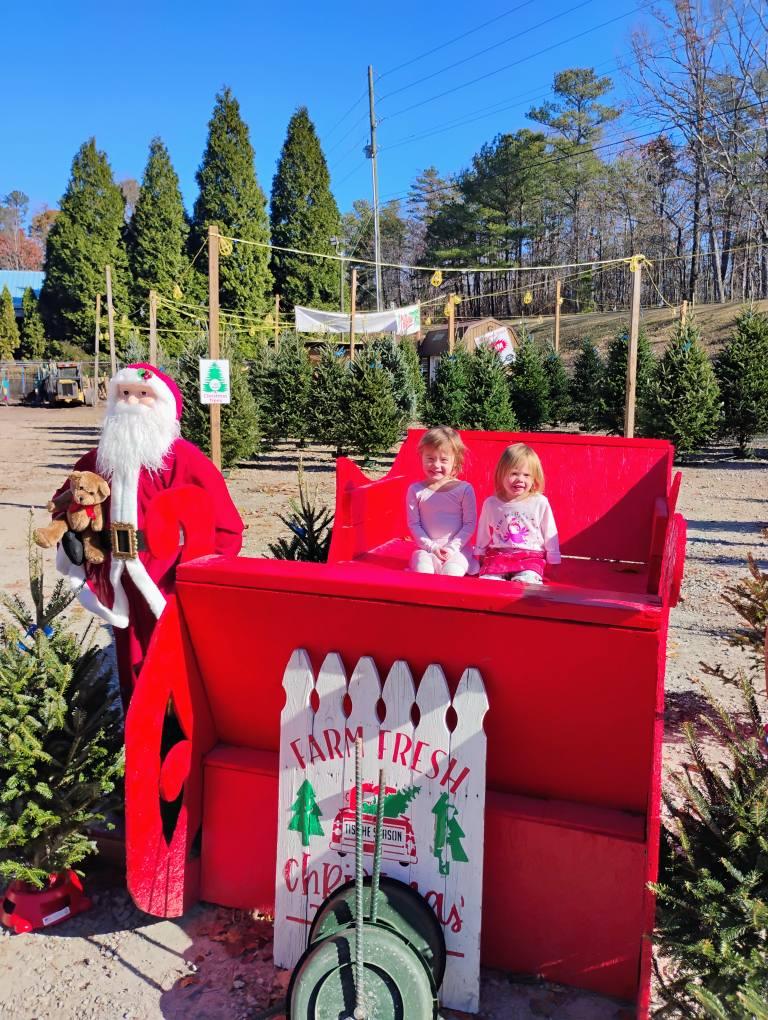  company BAM Another Pinestraw Lot in Flowery Branch, GA