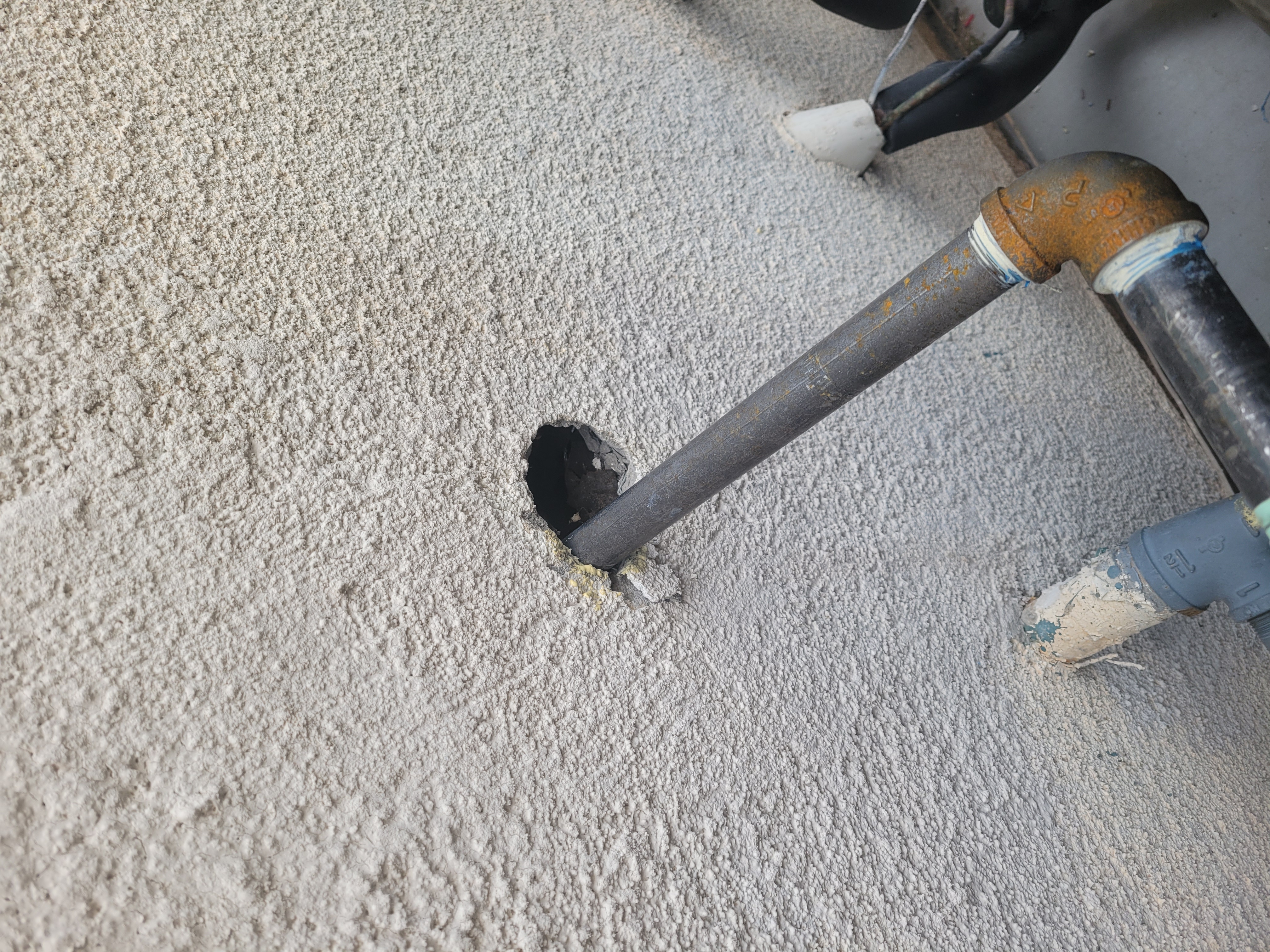  for Niko's Pest Control in Las Vegas, NV