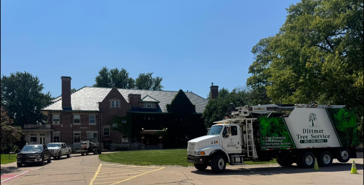 tree service company Dittmer Tree Service in Davenport, IA