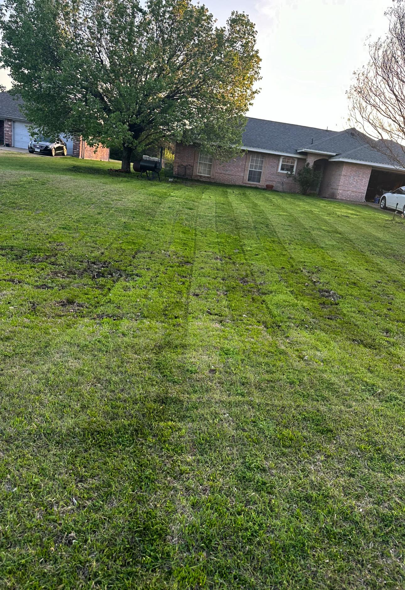  for Green Scapes Landscaping in Terrell, TX