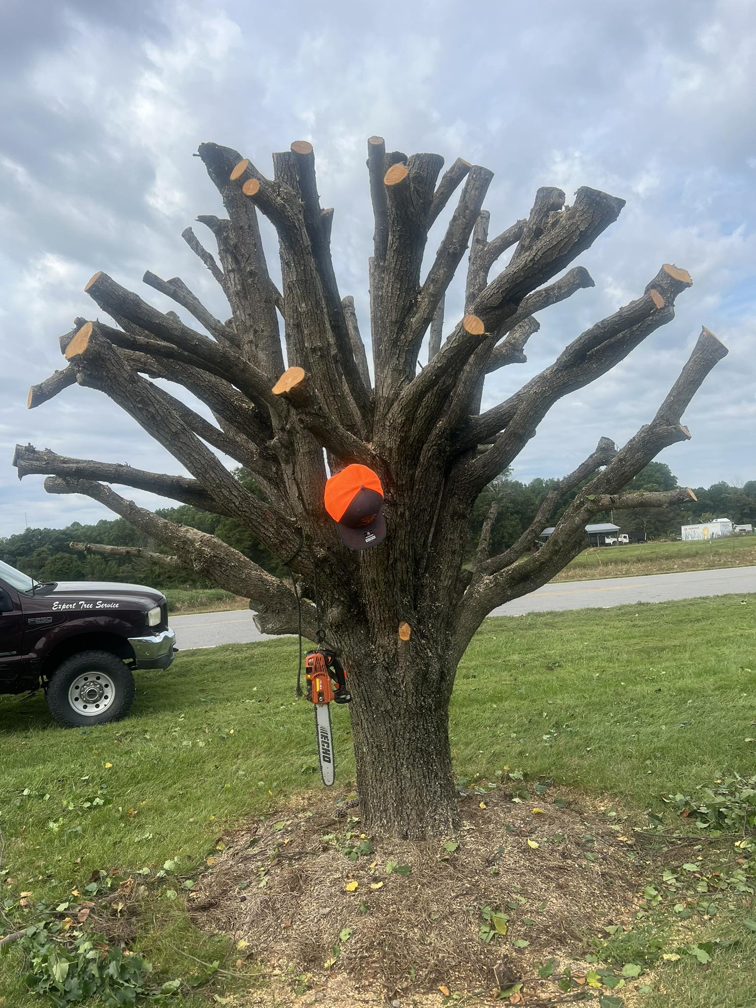  for ABC Tree Service in Dobson, NC