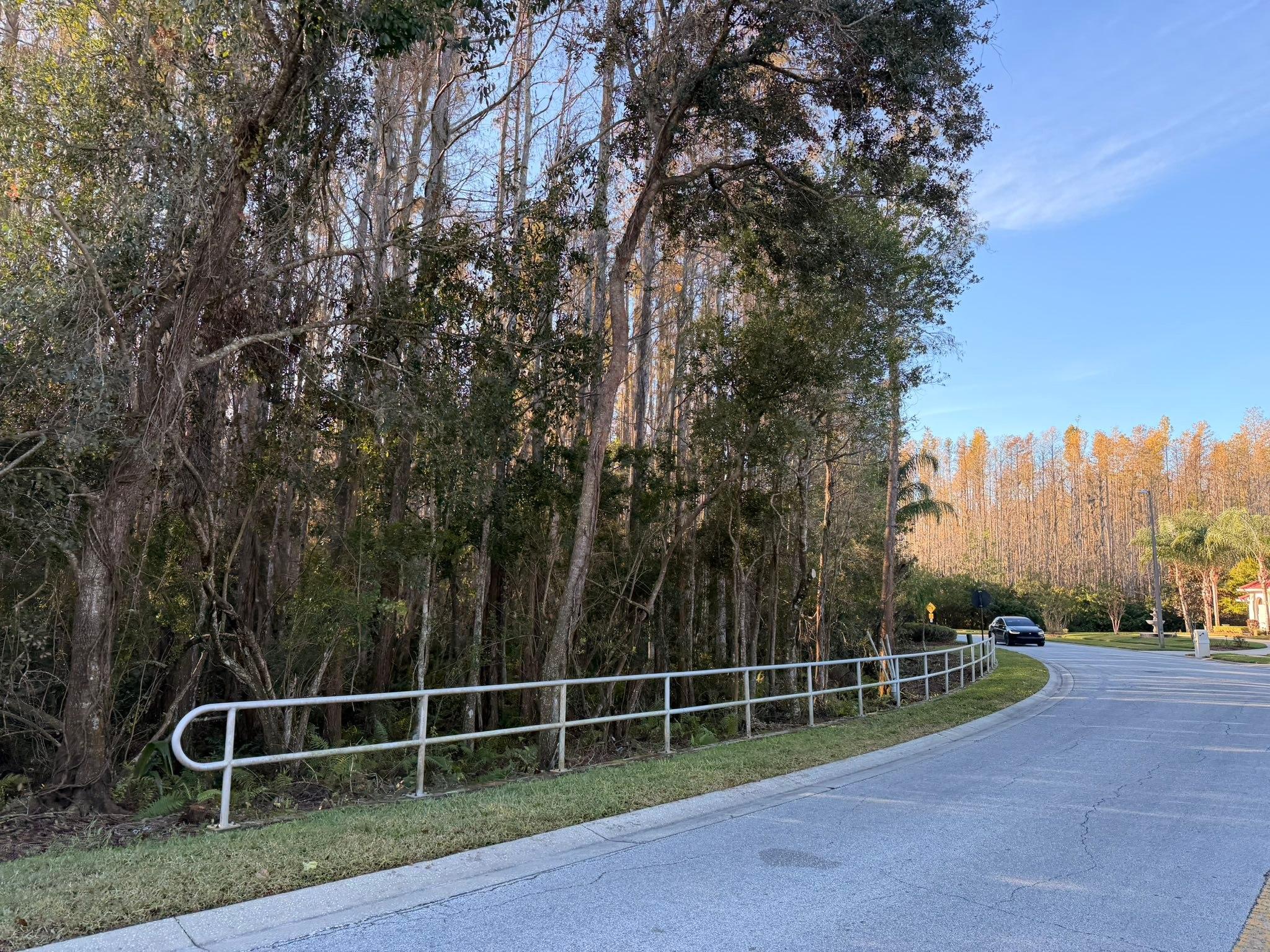  for EB Trees and Landscape in Lutz, FL