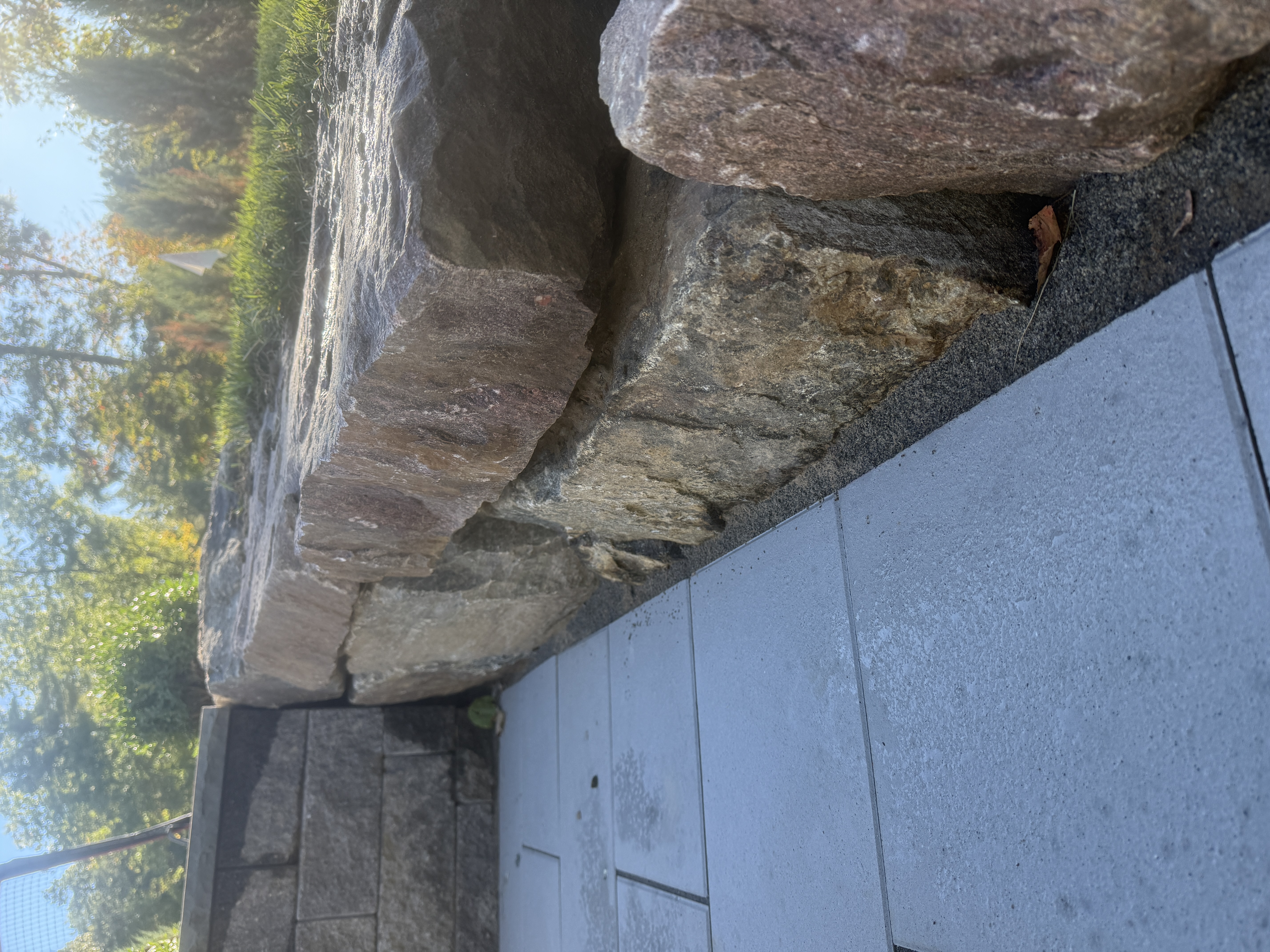  for The Lawn Guy in Saratoga Springs, NY