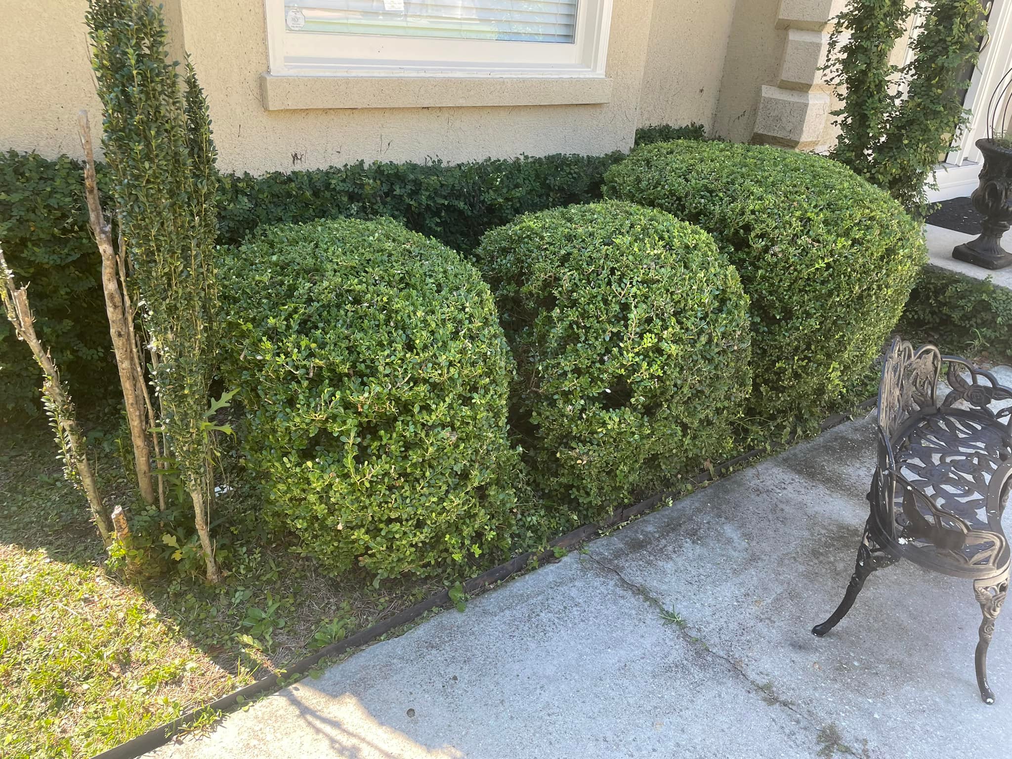 Landscaping company Sparks Landscaping in Augusta, GA