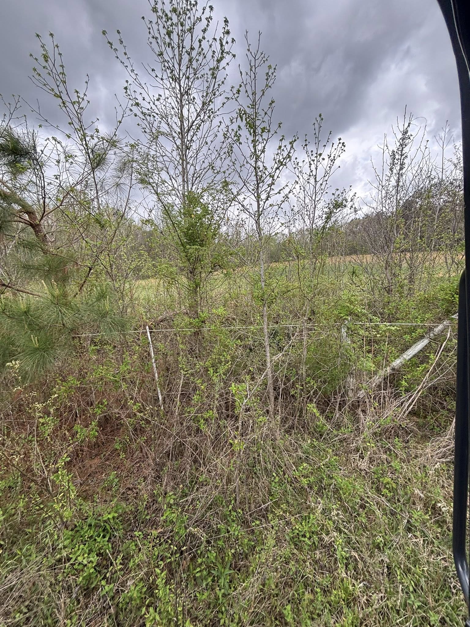  for Ross Excavation & Land Development in Middleton, TN