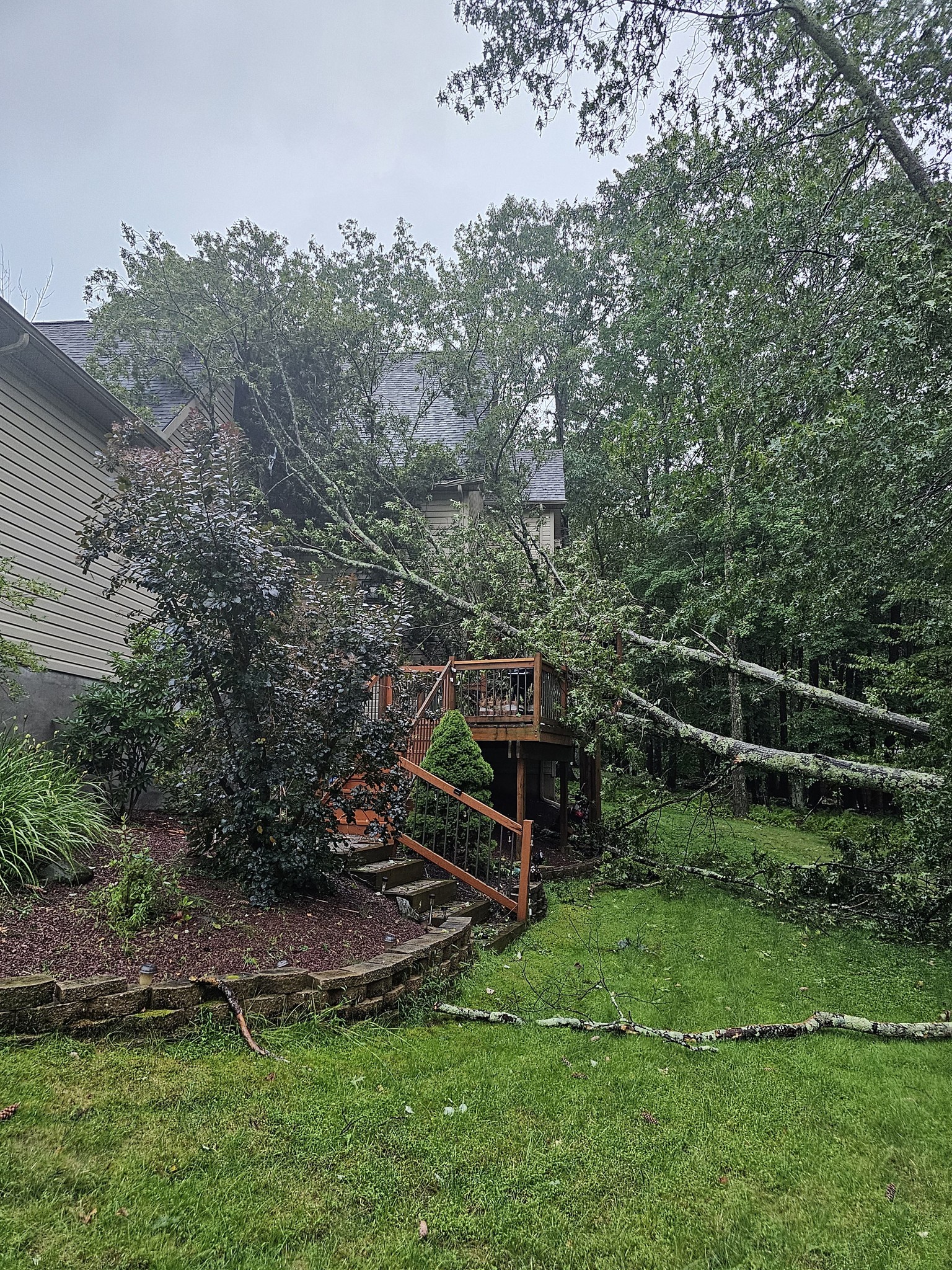  for AAA Tree Cutting in Shavertown, PA