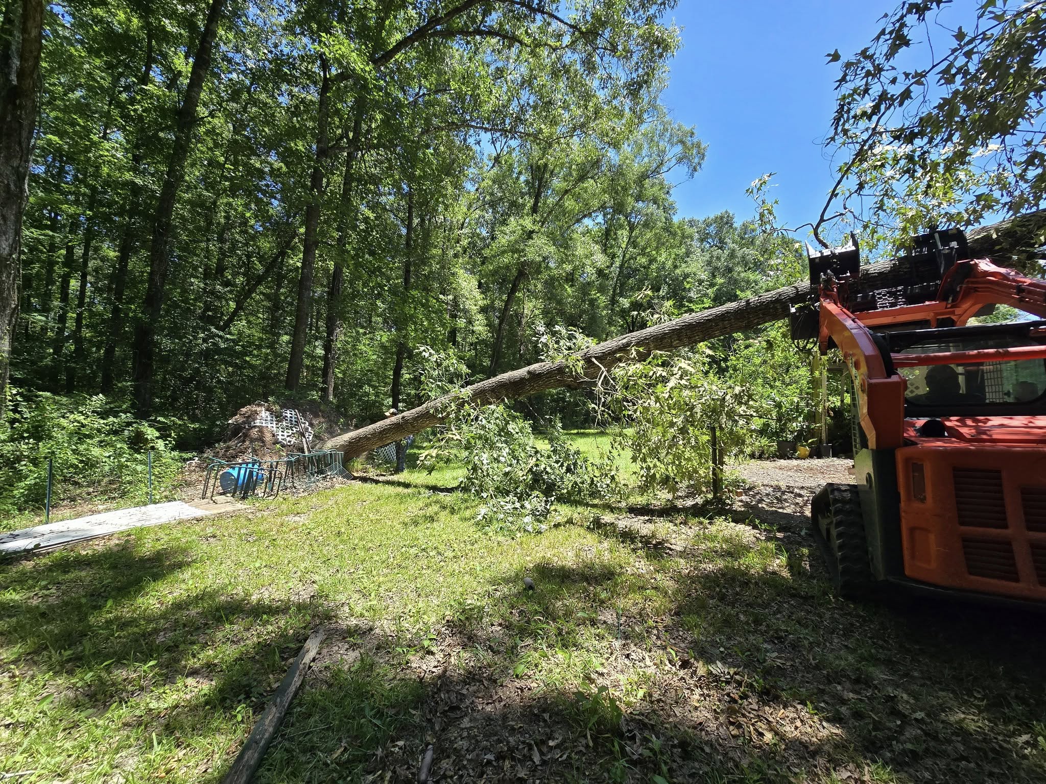 Tree Services company Breaktime Tree Trimming & Removal in Oakdale, LA