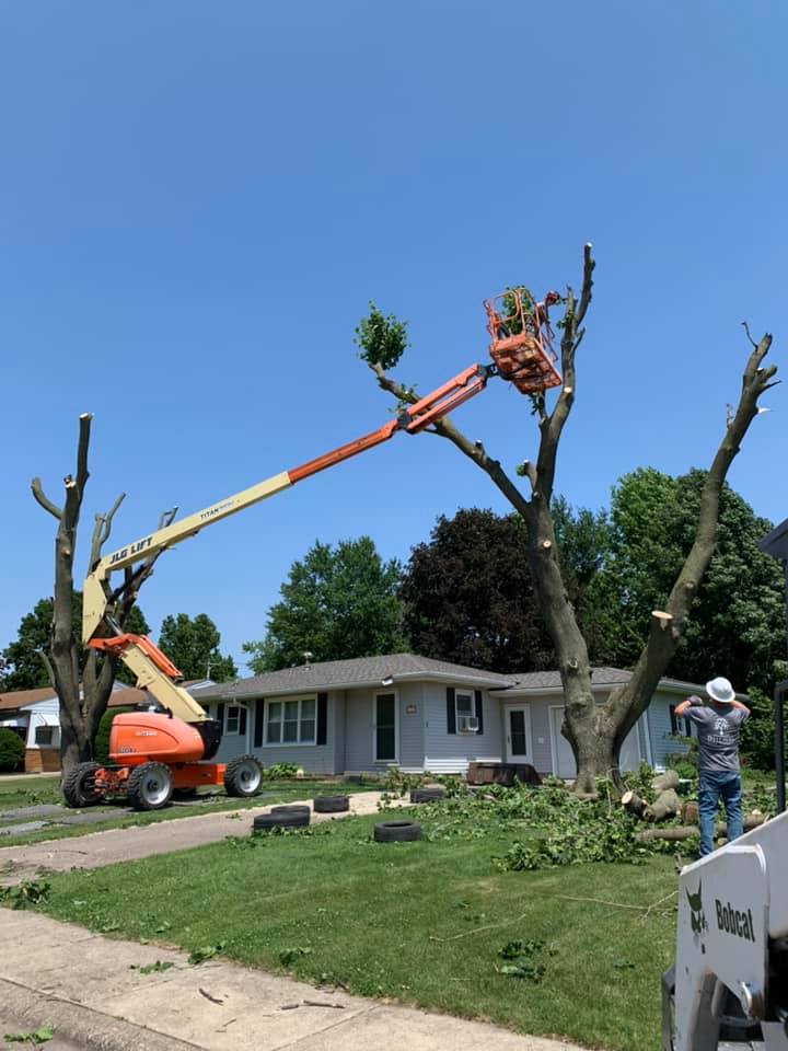 tree service company Dittmer Tree Service in Davenport, IA