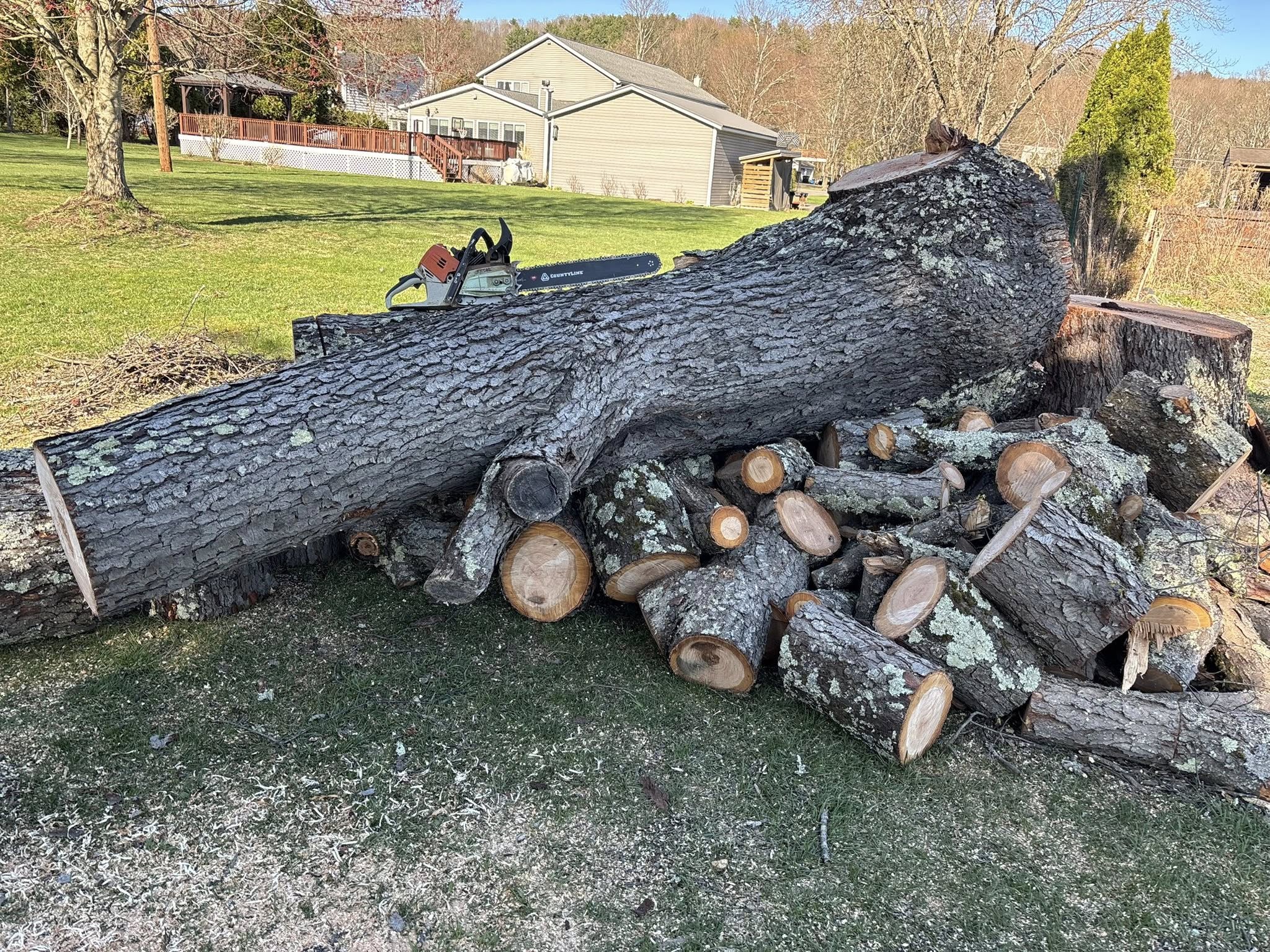 Tree Services company Brax Forestry in Endicott, NY