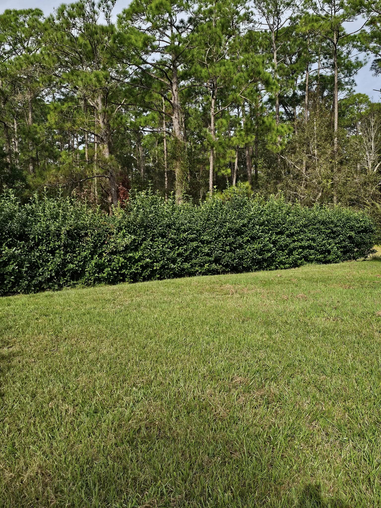 cover-photo