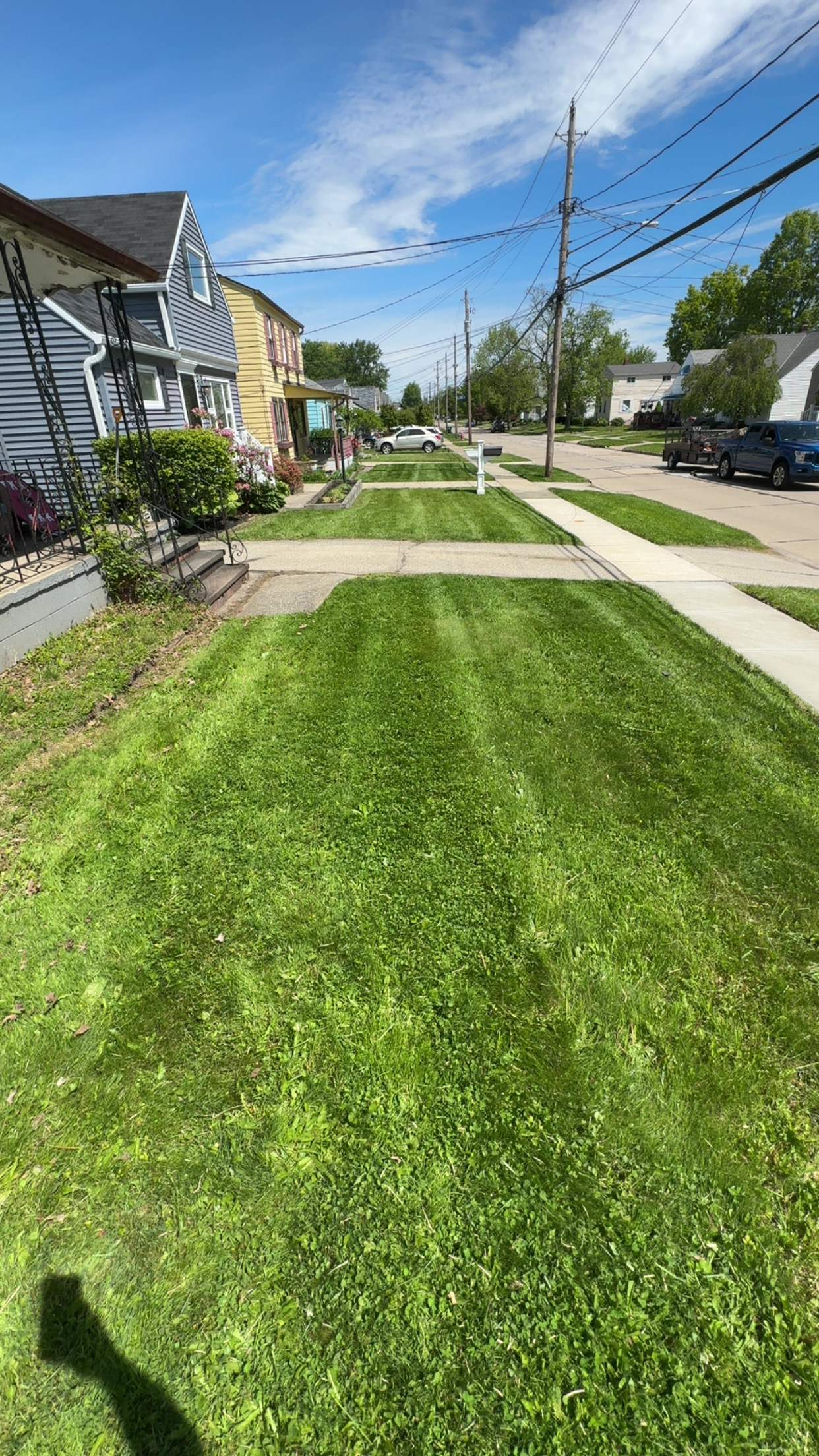  for Yard Theory in Willowick, OH