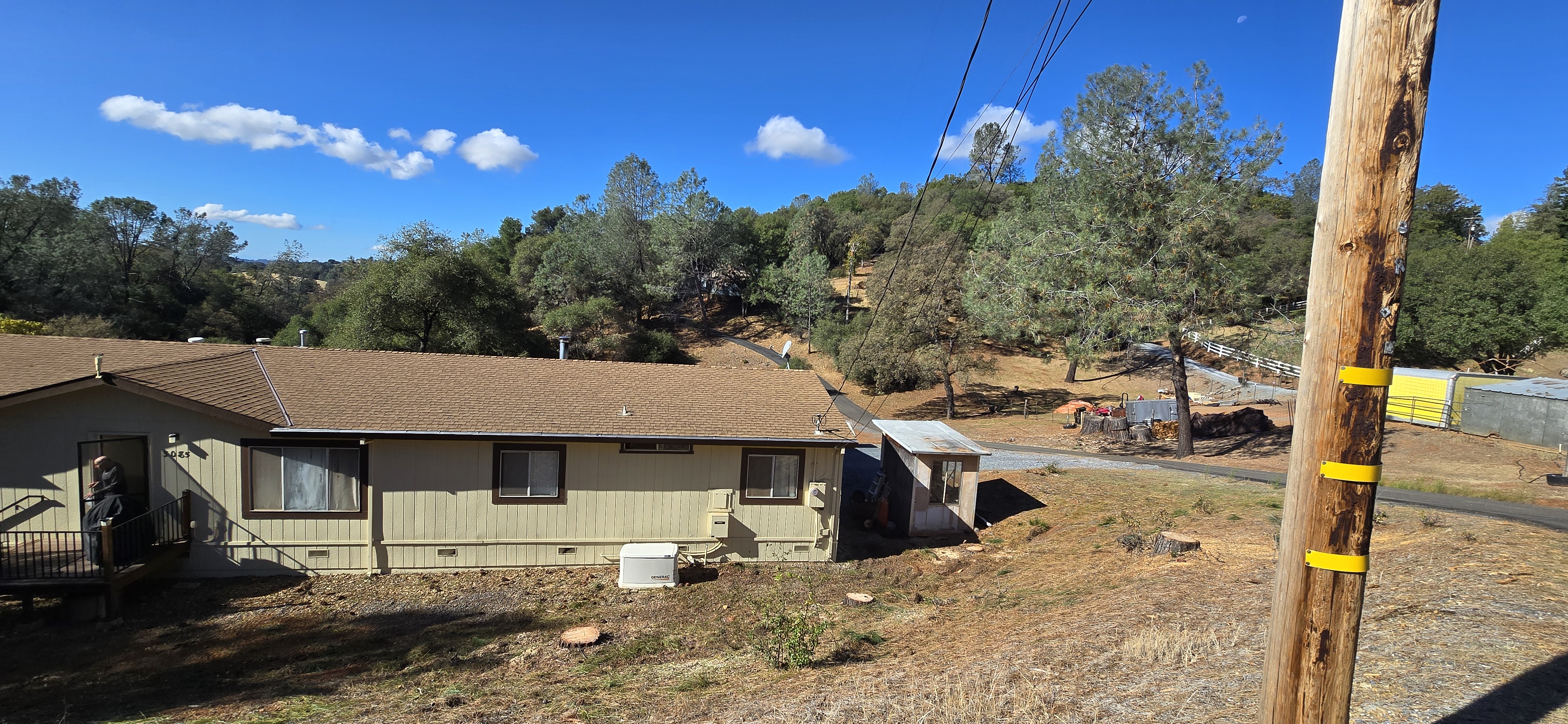  for George Staddan's Professional Tree Care in Placerville, CA