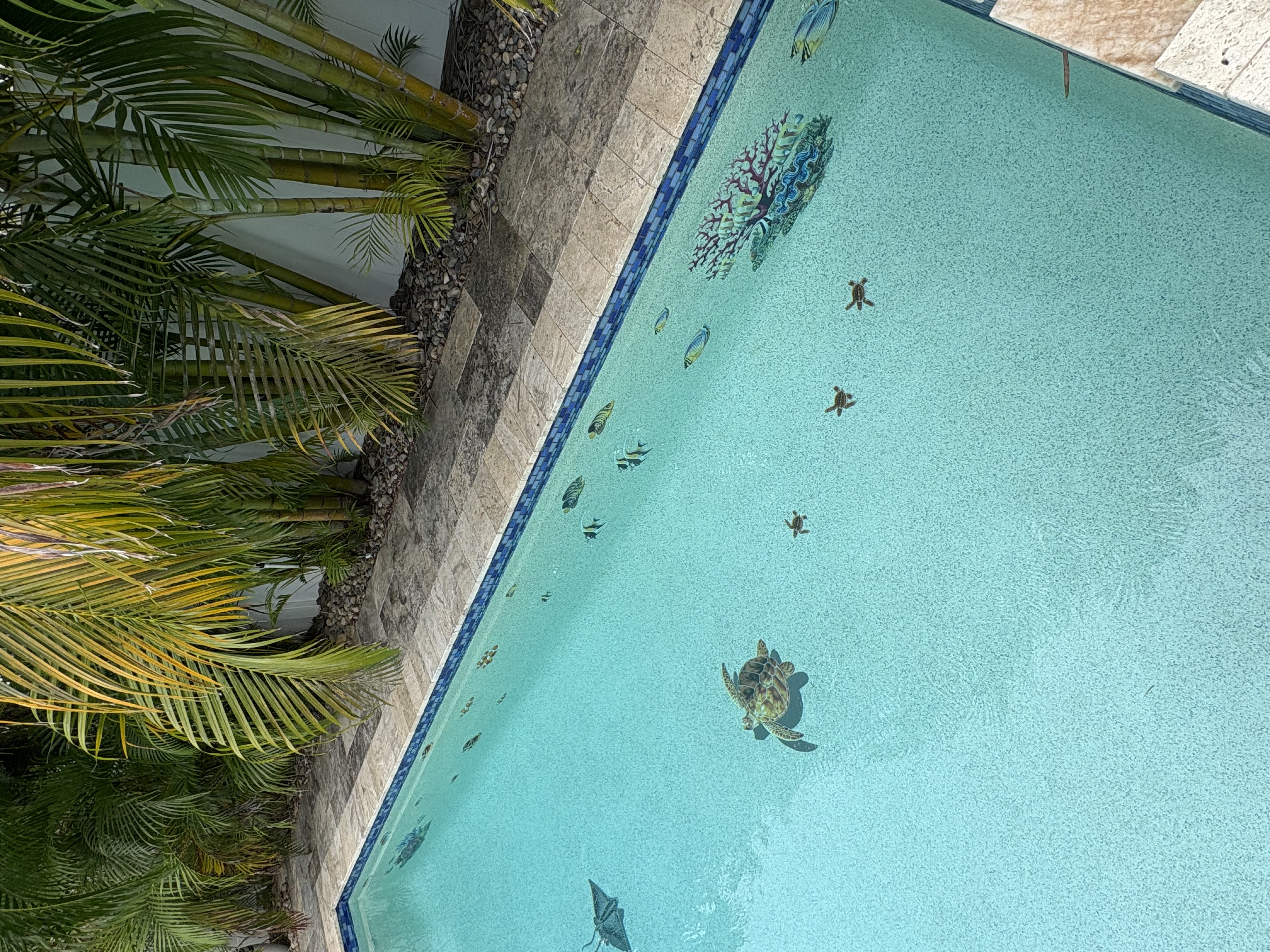  for Blue Bay Pools in Tampa, FL