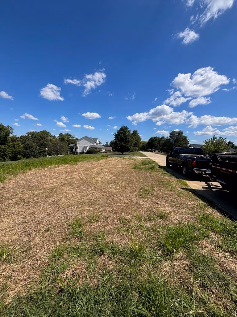Lawn Transformation 4000 sqft of Weeds Transformed