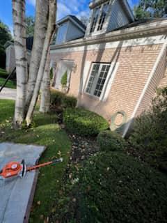  for HVQ Landscaping in Albany,  NY