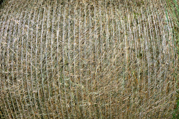  for SSC All Trade Solutions in Windham, NH