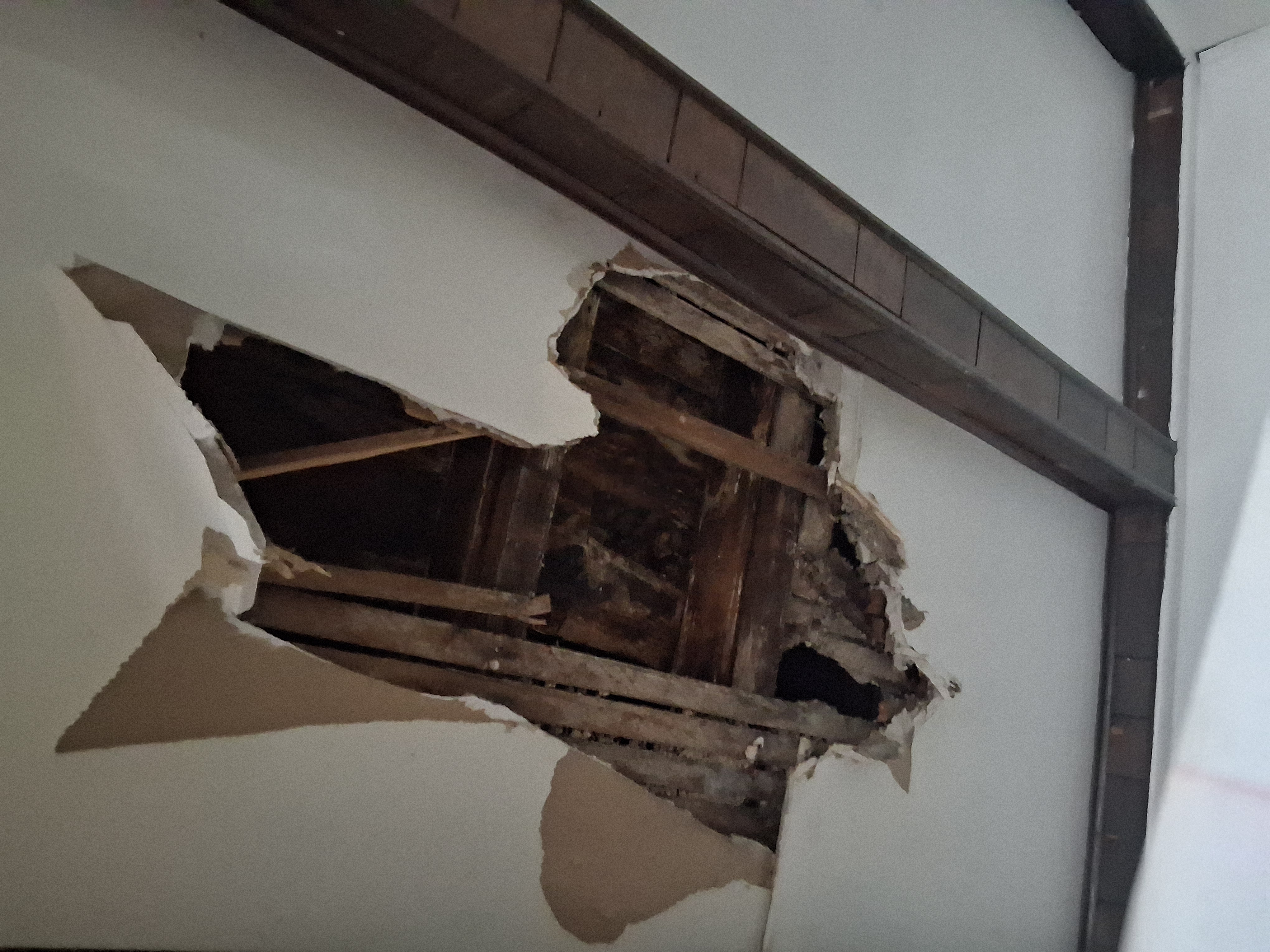  for K. Billey Construction in Brooklyn, NY