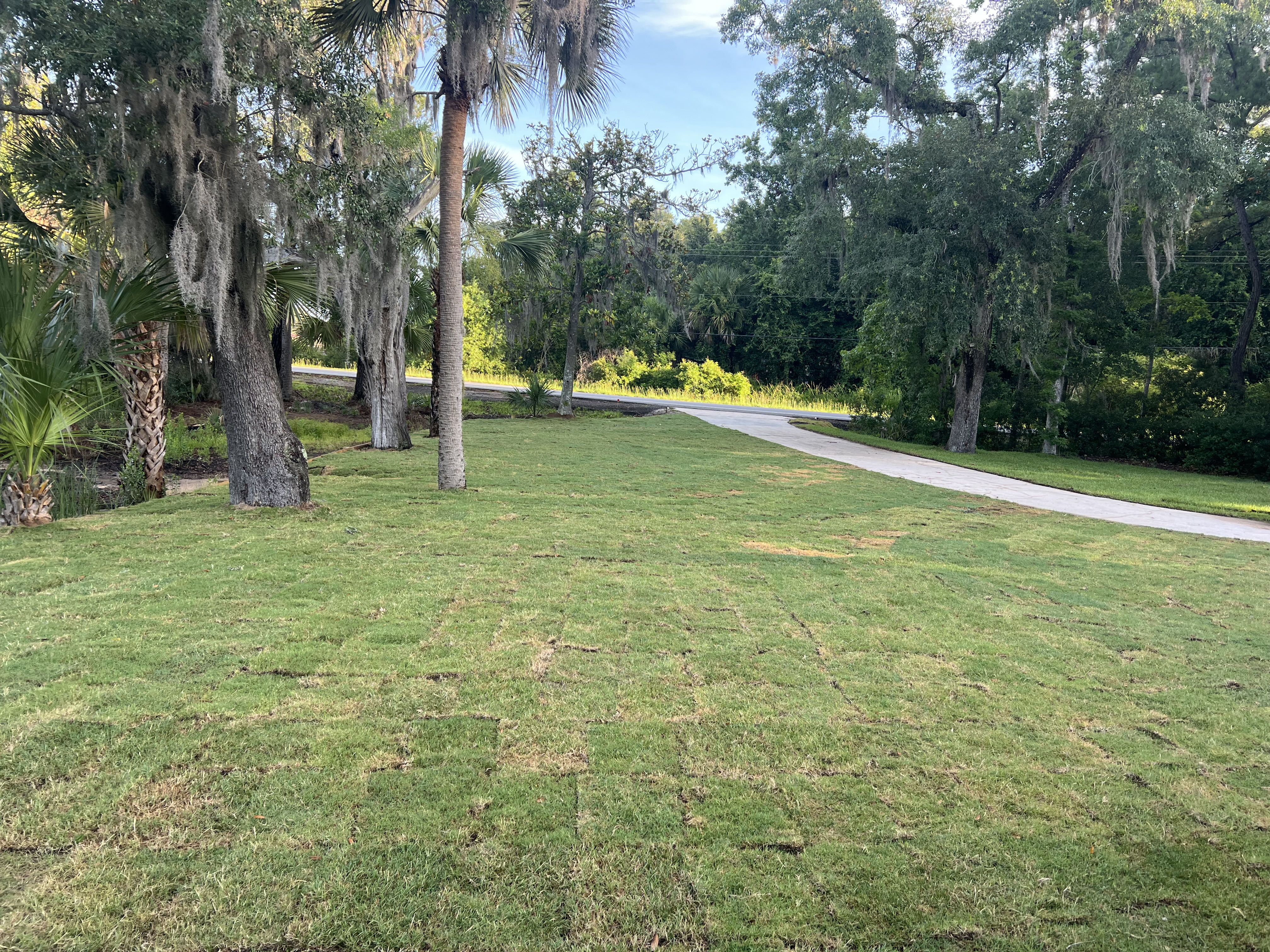  for Brandon Woodard’s Lawncare in Ludowici, GA