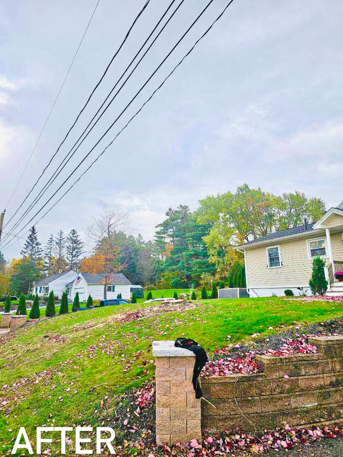  for Blue Ribbon Tree Service in Gilford, NH