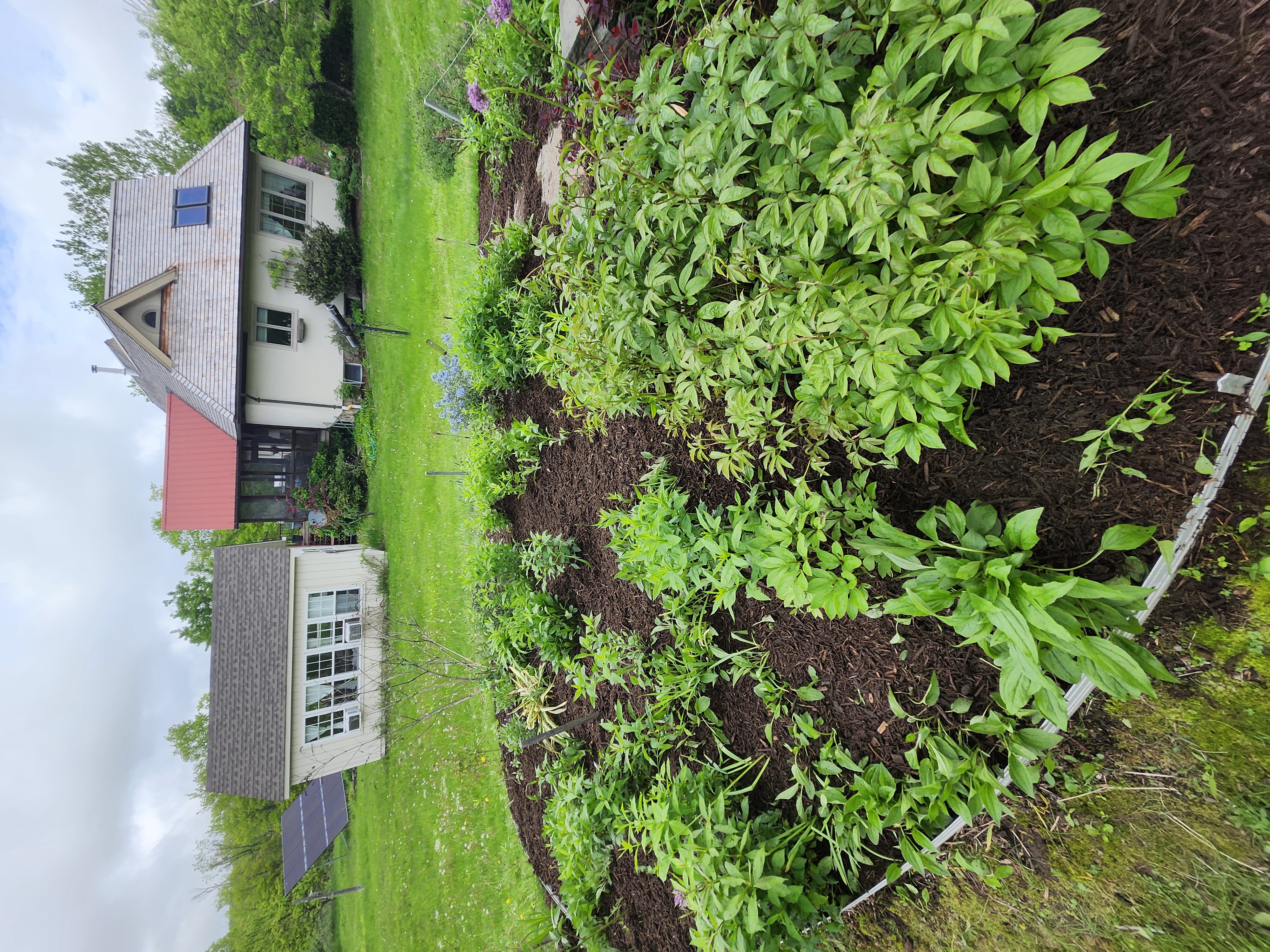  for Landscape Innovations LLC in Torrington, CT