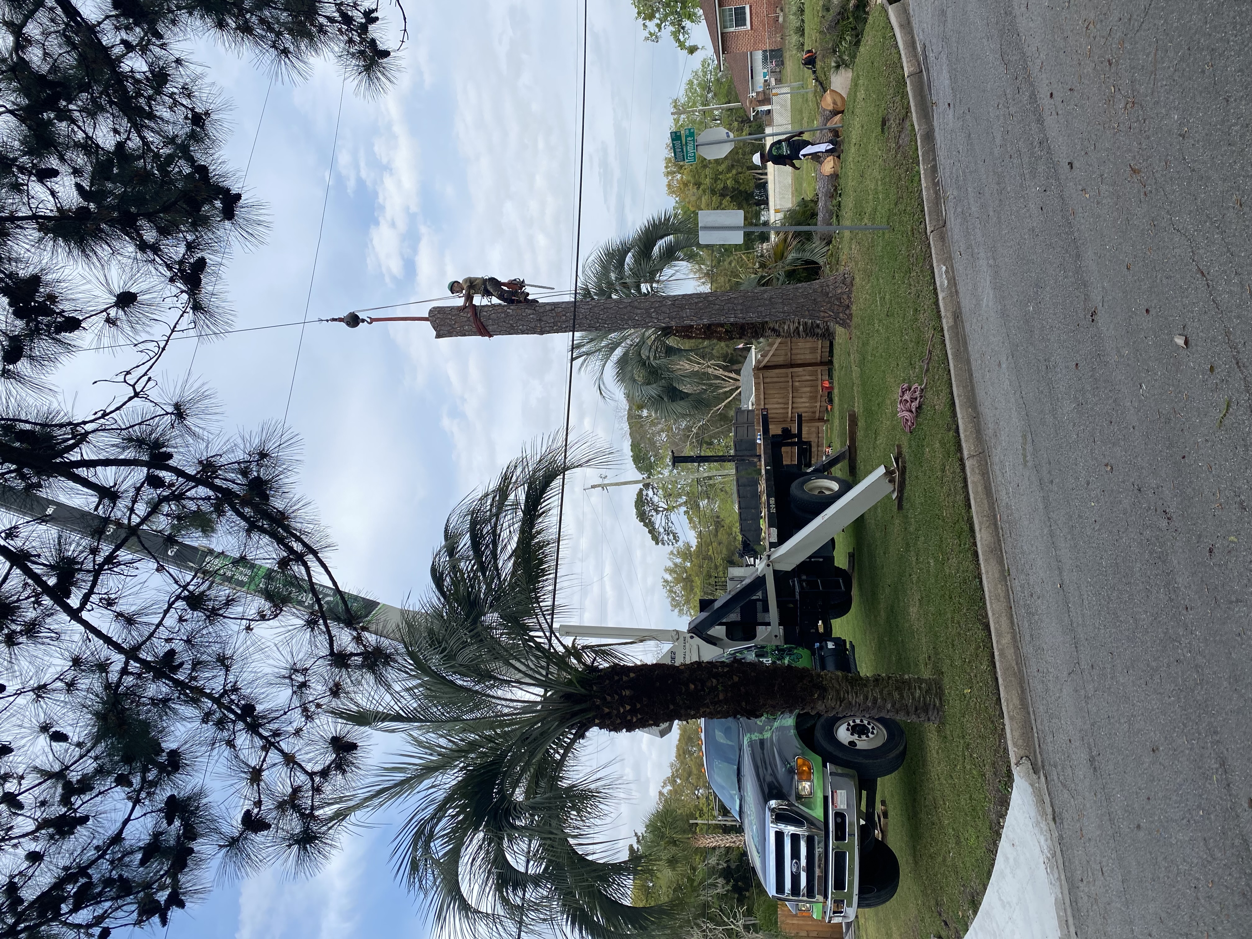  for Elite Tree & Landscape Services LLC in St. Augustine, FL