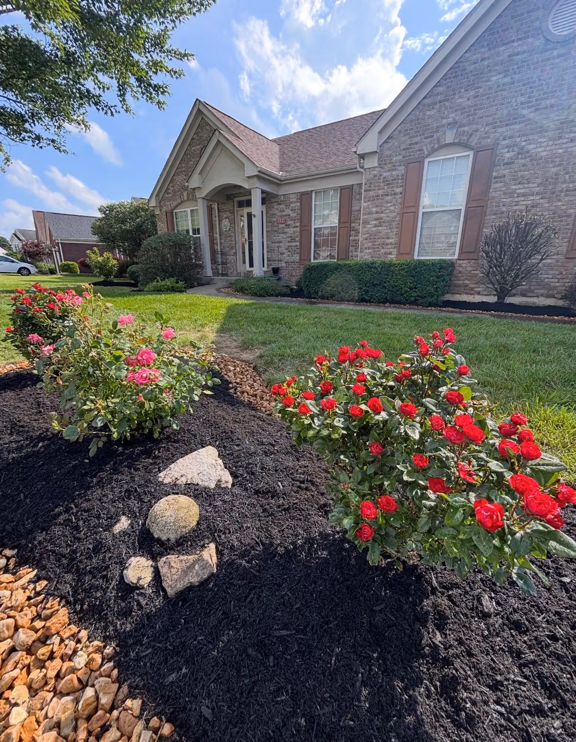 Comprehensive Outdoor Upgrades