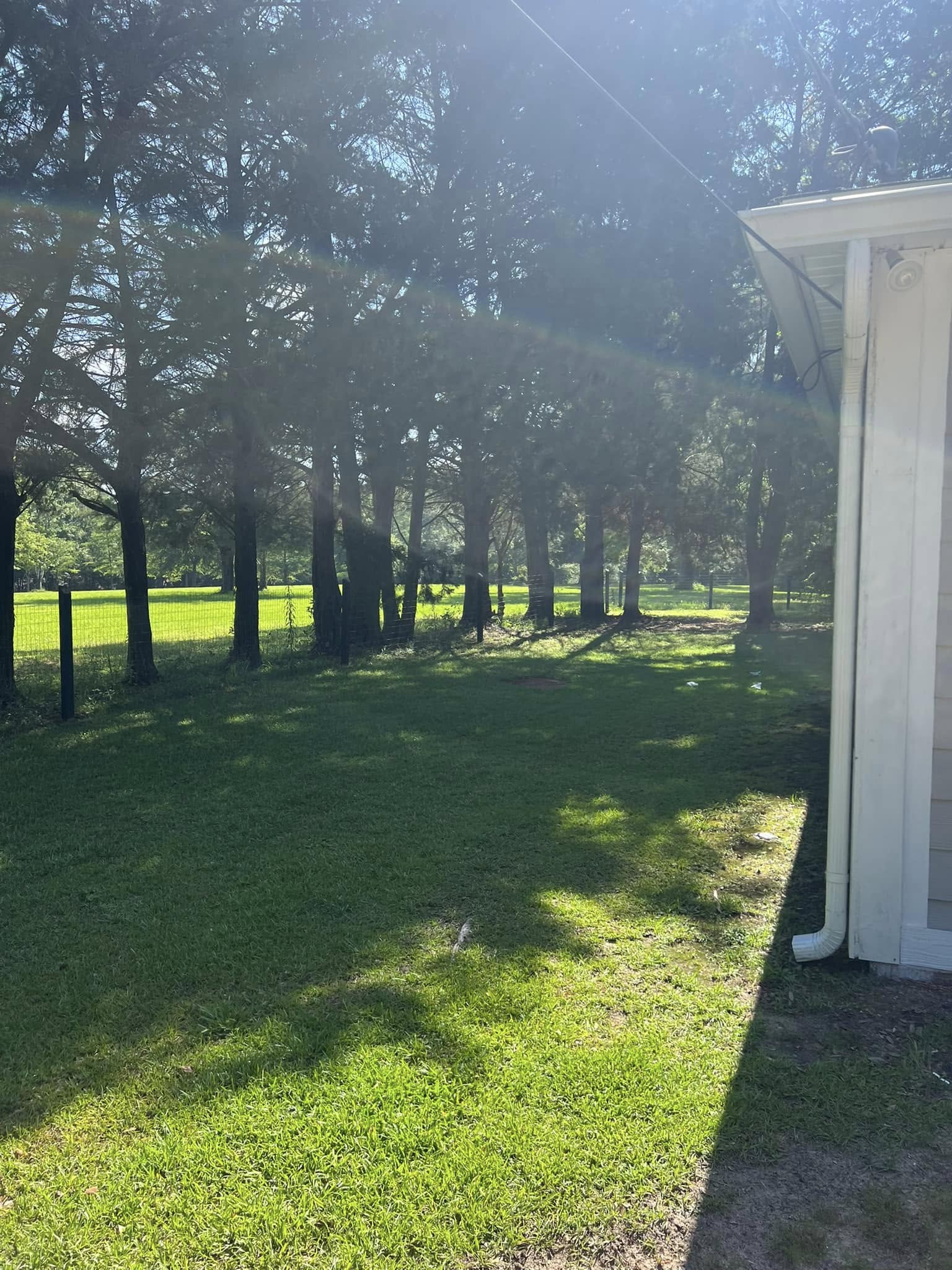  for Joseys Lawn and Tree Care in Chipley, FL