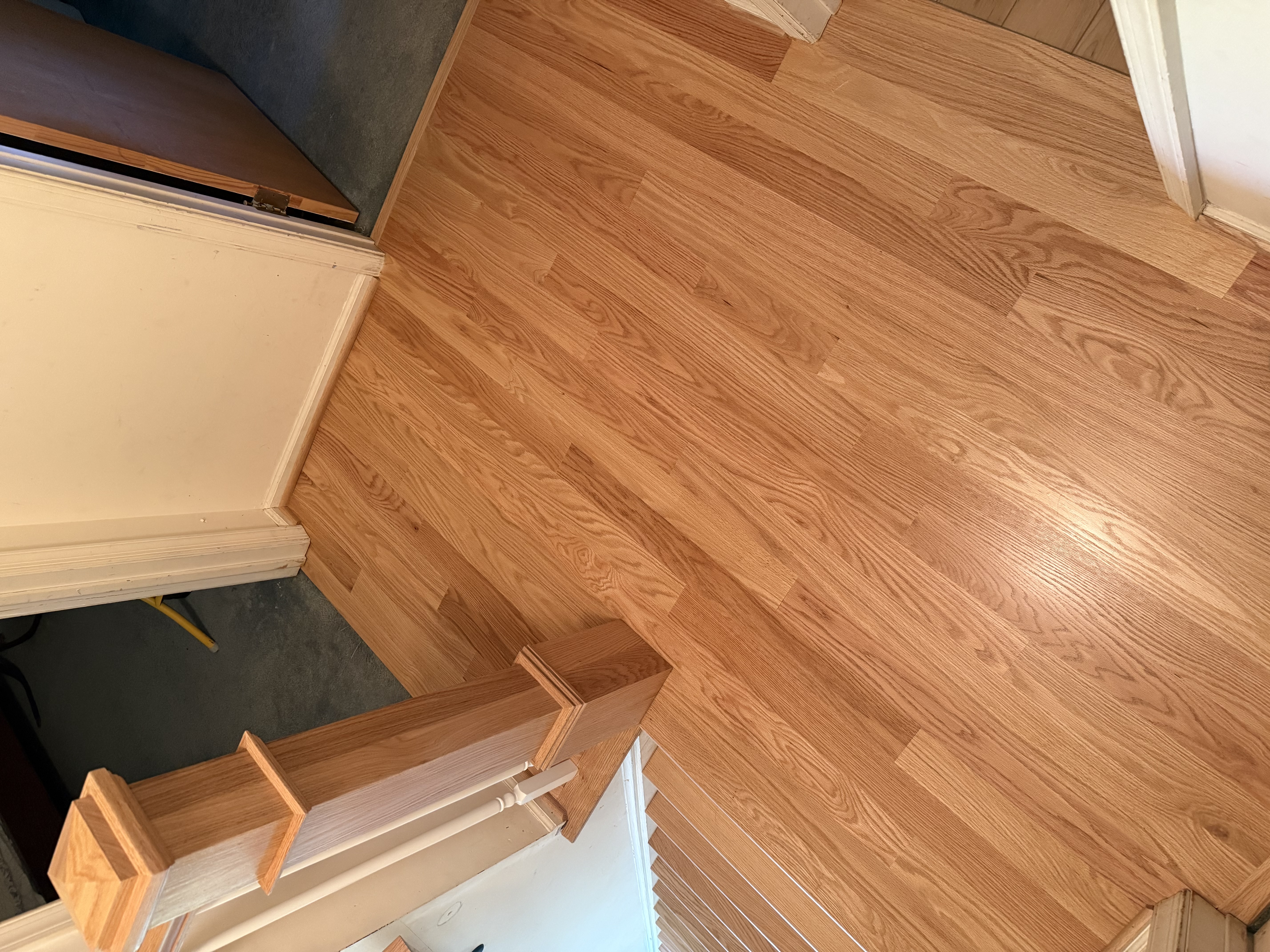  for Finely Finished LLC in Wyoming, DE