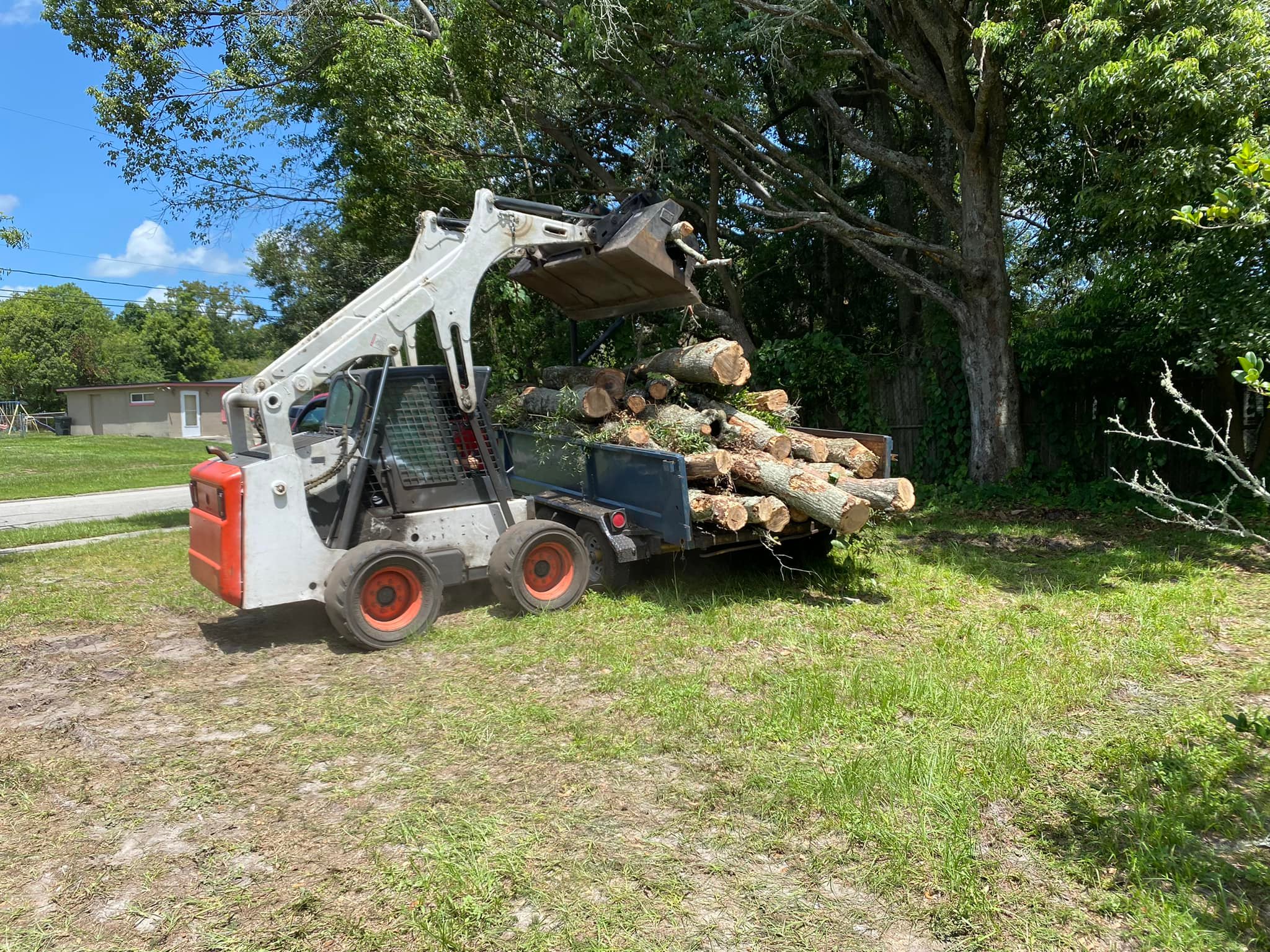 Fast Cut Tree Service team in Jacksonville Heights, FL - people or person