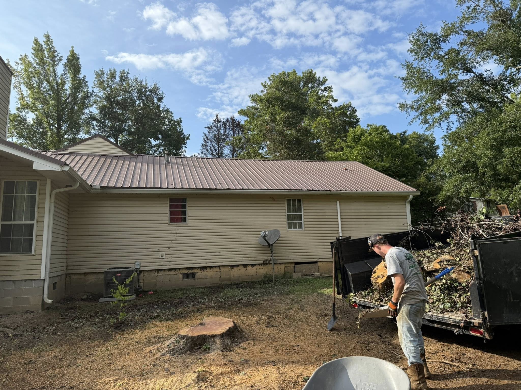  for T N L - Tree and Land Service in Reynolds, GA