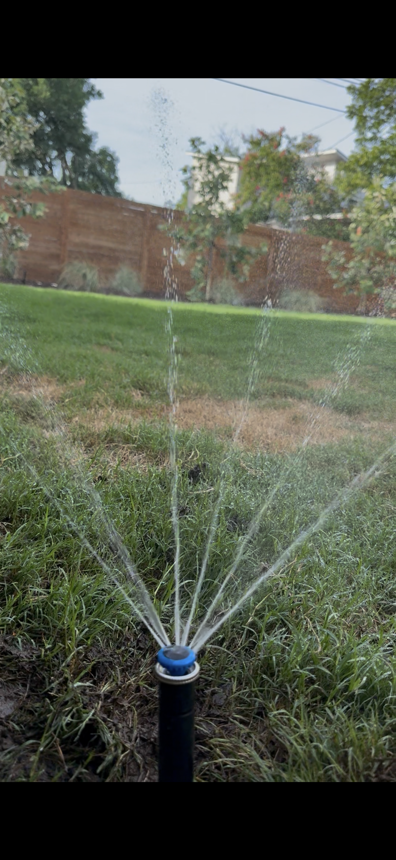  for Light Blue Irrigation in Austin, TX