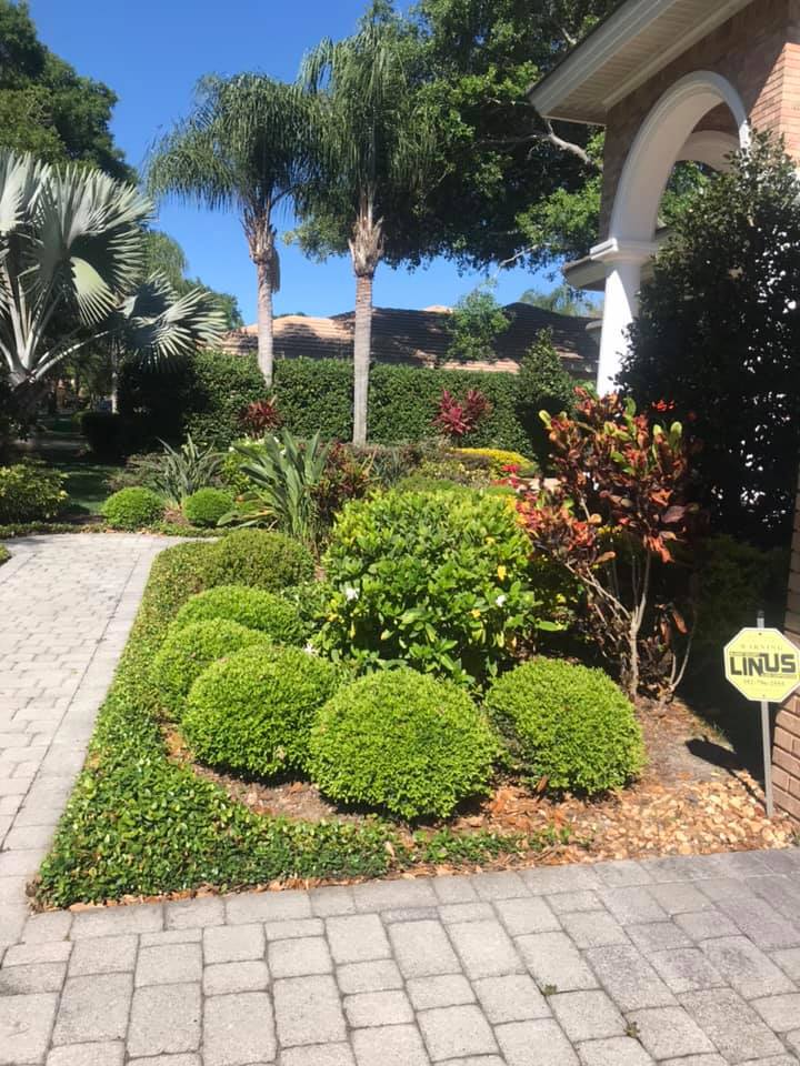  for Greens Landscaping in Clearwater, FL