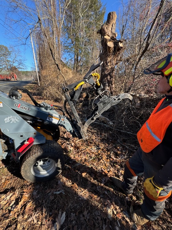 Tree Service company Redemption Tree & Landscape LLC  in Oakham, MA