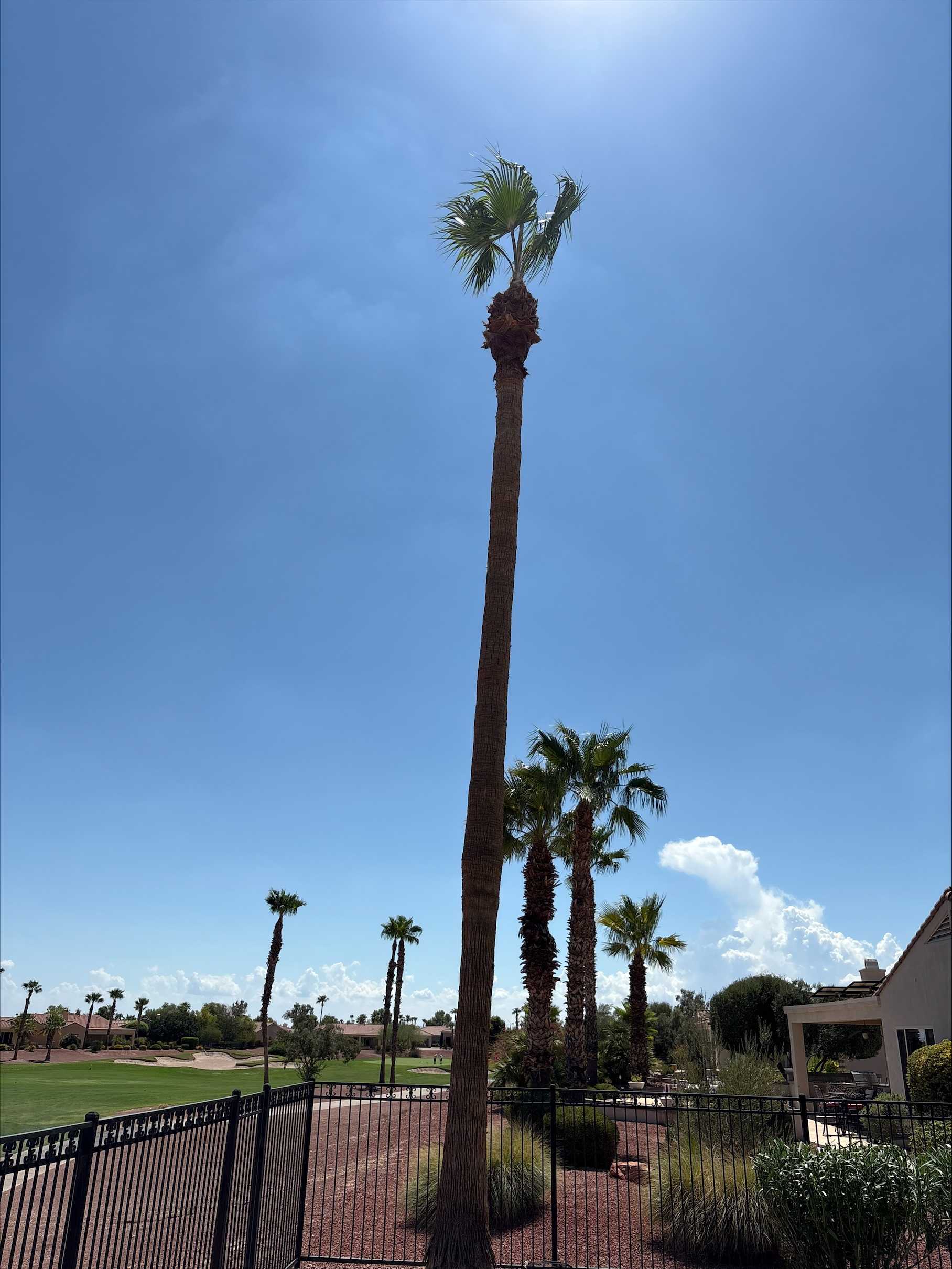 landscaping company Ramirez Landscaping in El Mirage, AZ