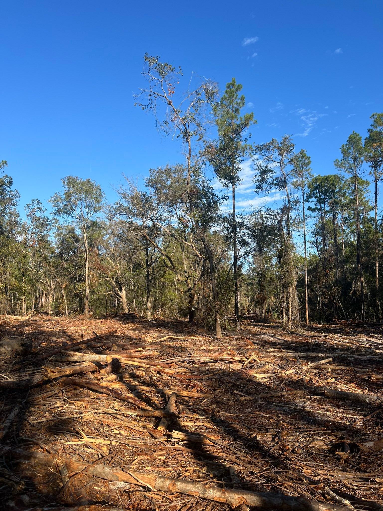  for Bay Hill Development in Nahunta, GA