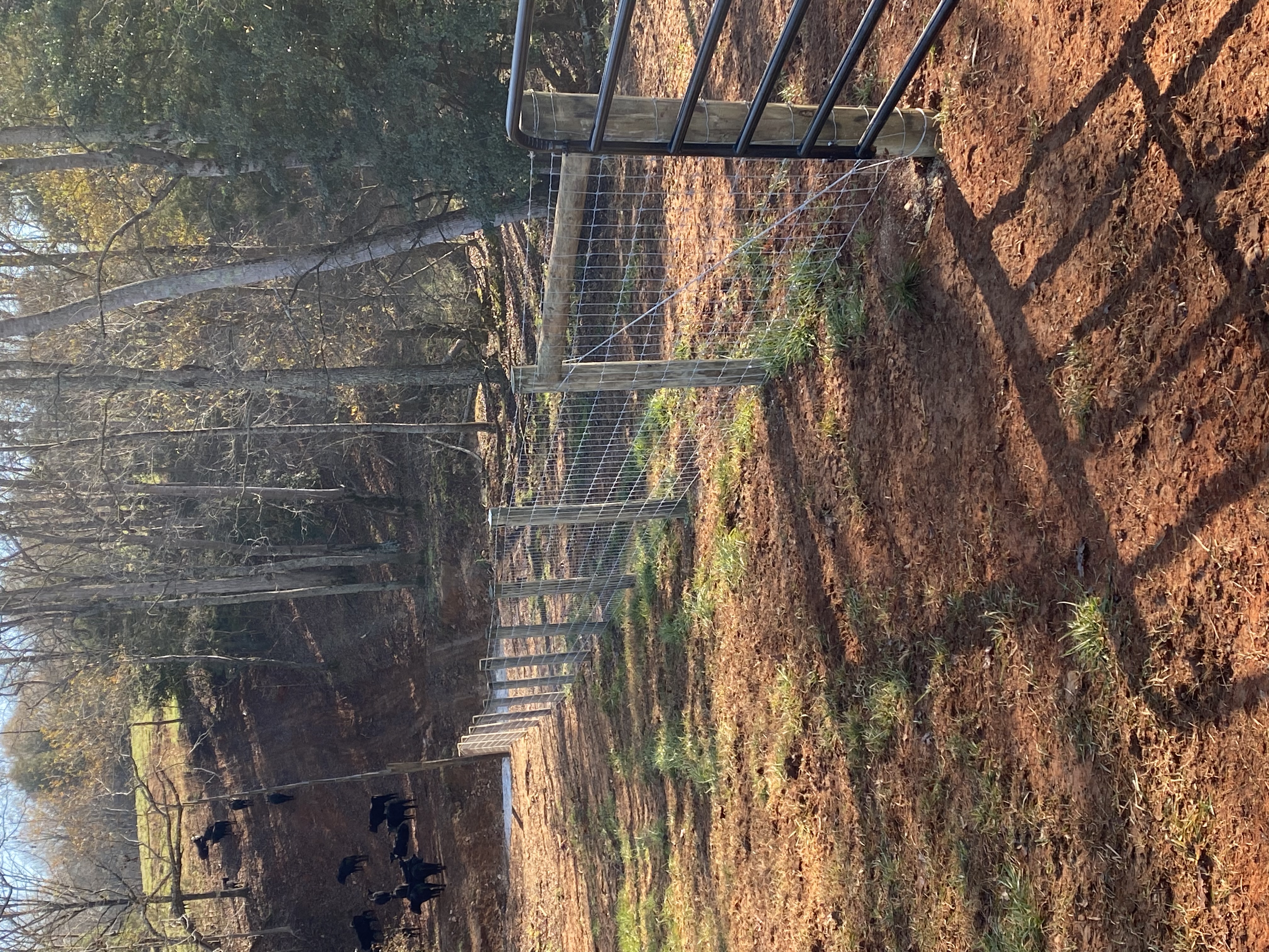  for LB Fencing & Services in Archdale, NC