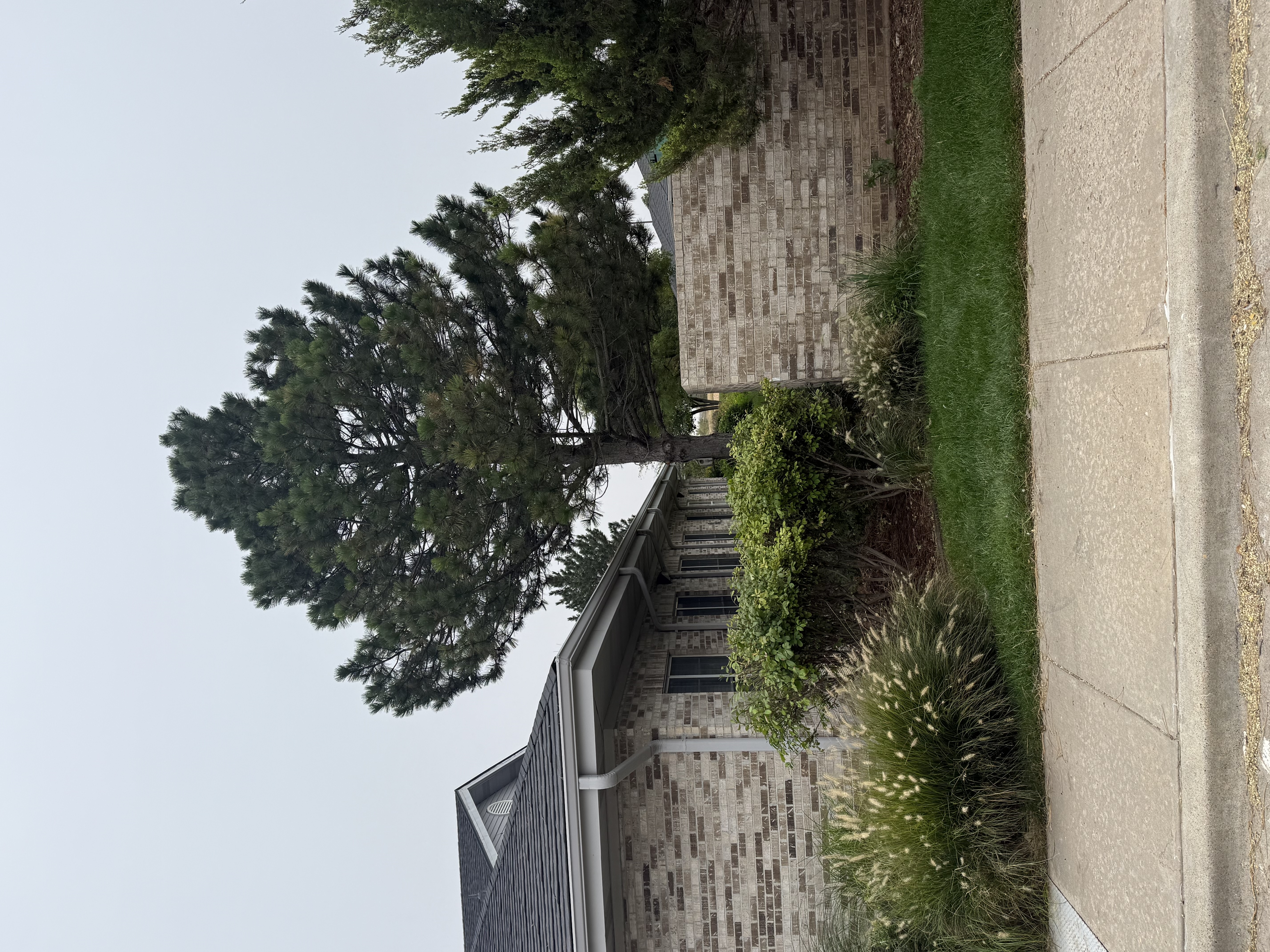  for R&J Hydromulch in Booker, TX