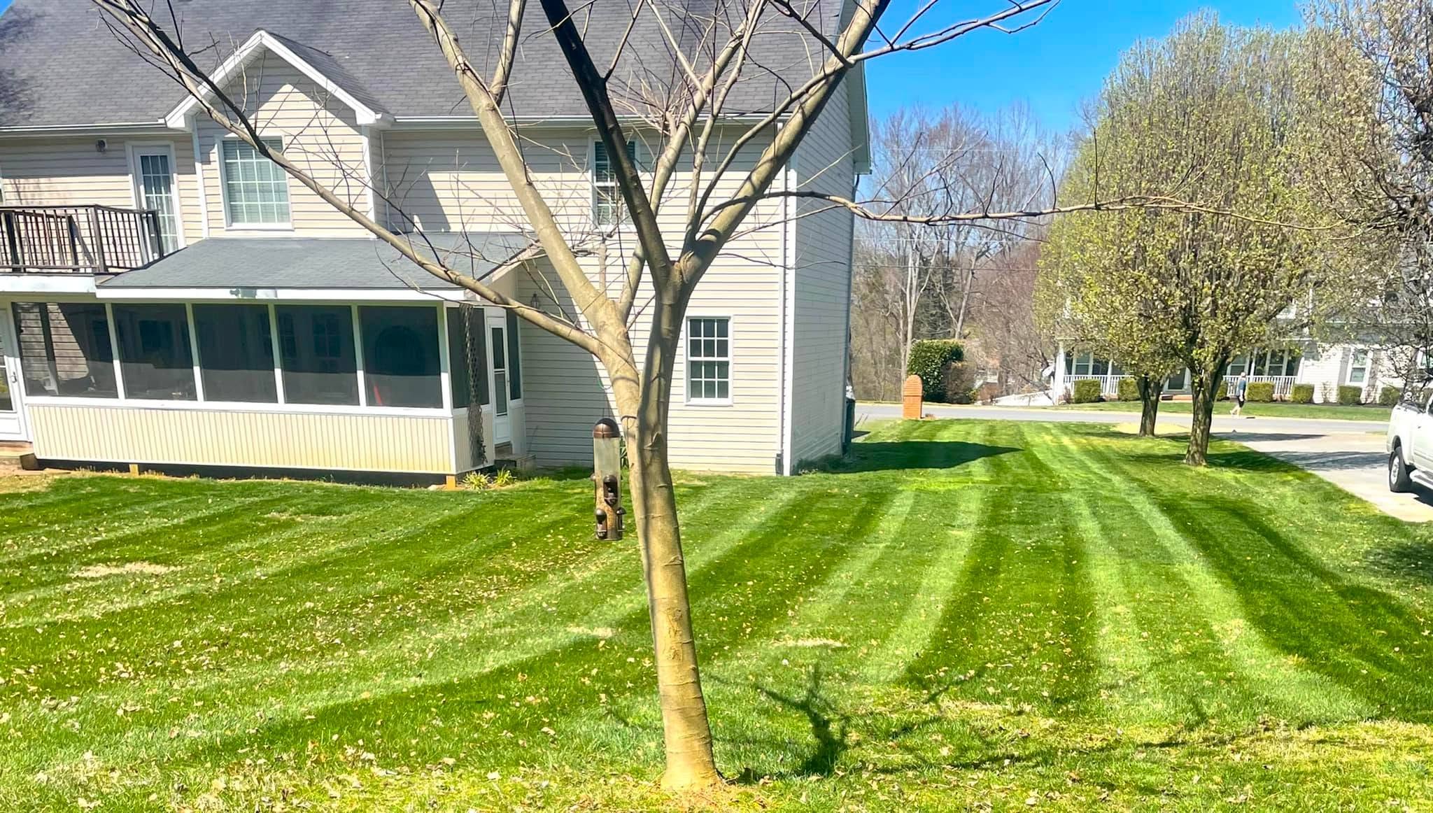  for Diamond Lawn & Land Maintenance in Jonesborough, TN