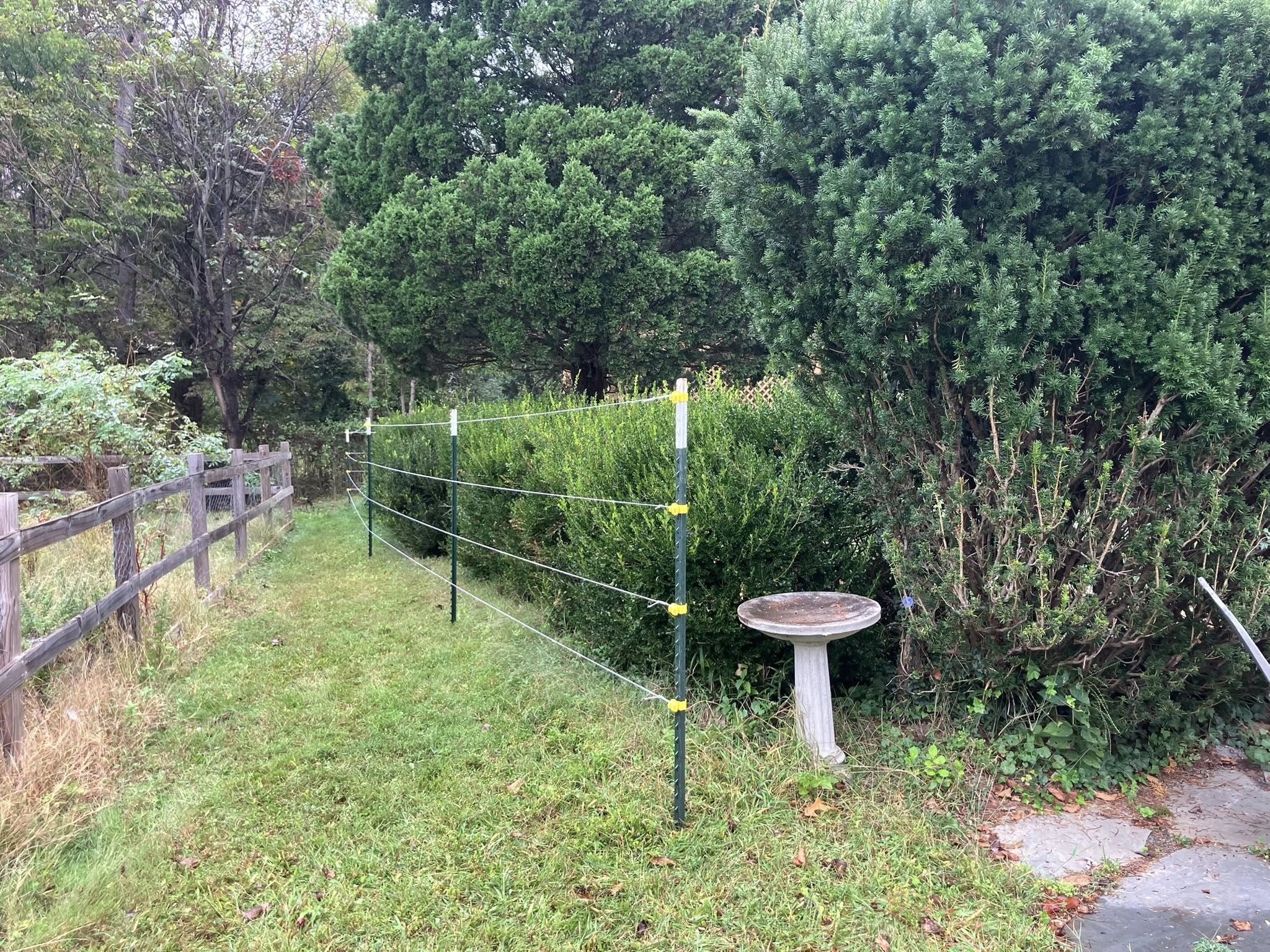  for 9999 Building and Renovation LLC in Warrenton, VA