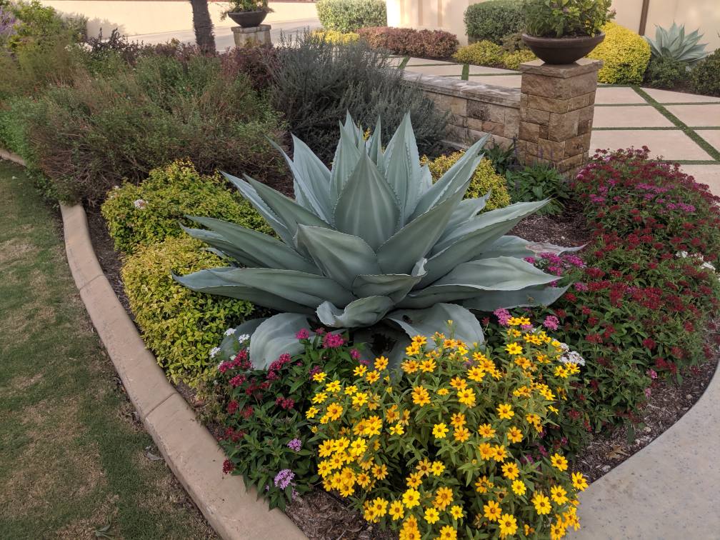Landscaping company Mira Vista Landscaping in Everman, TX
